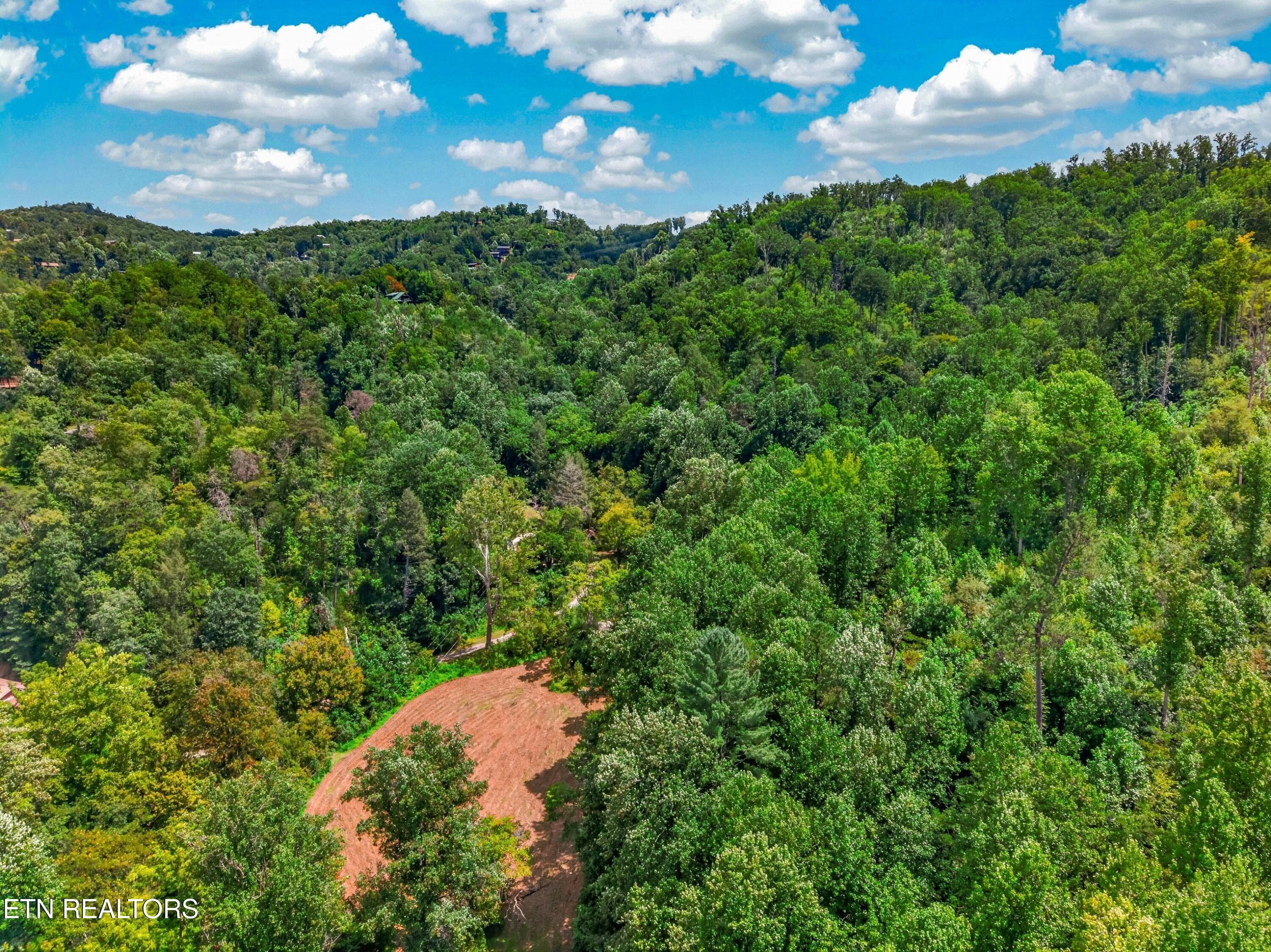 047-264BeechBranchRoad-Gatlinburg-TN-377 - 264 Beech Branch Rd, Gatlinburg, TN 37738, Gatlinburg