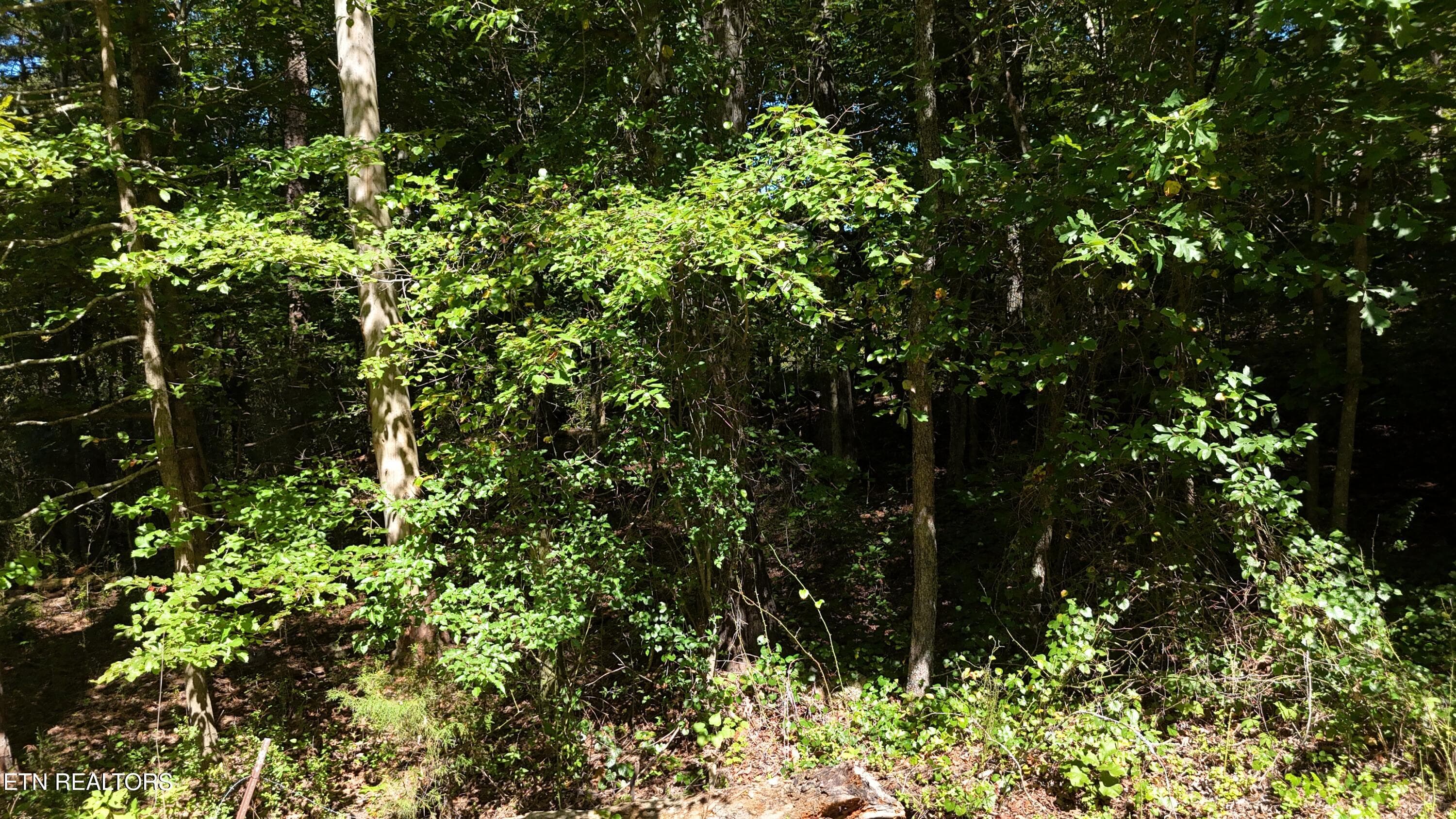 dji_fly_20260825_152908_0035_17877830338 - 000 Fezzell Rd, Decatur, TN 37322, Decatur