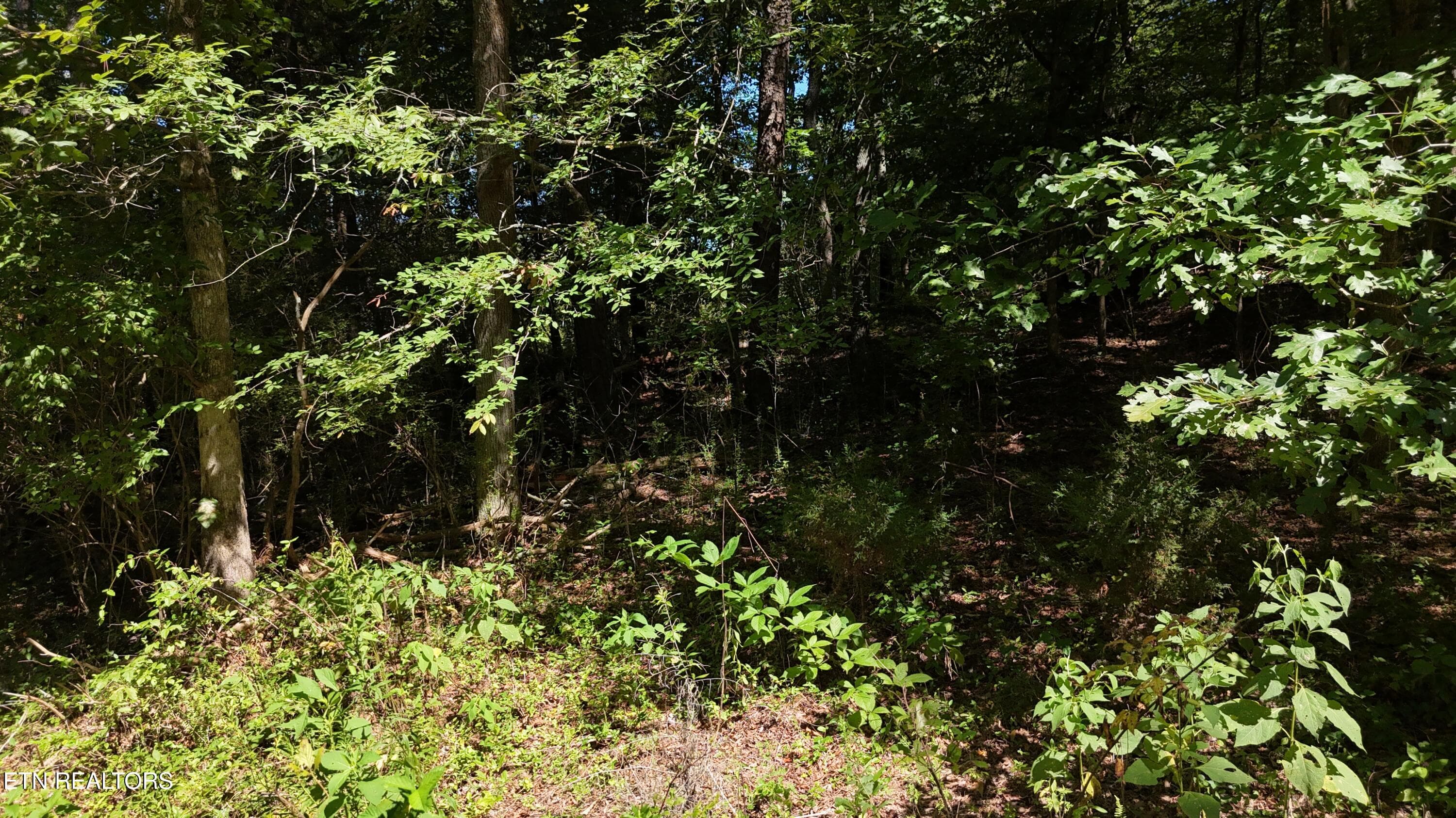 dji_fly_20260825_152918_0036_17877830323 - 000 Fezzell Rd, Decatur, TN 37322, Decatur