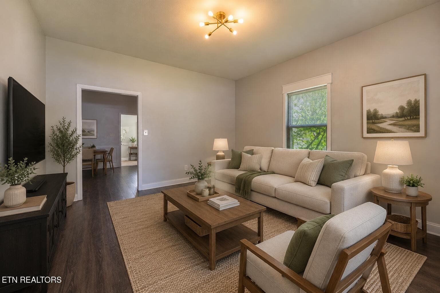 lr - 224 E Morelia Ave, Knoxville, TN 37917, Knoxville
