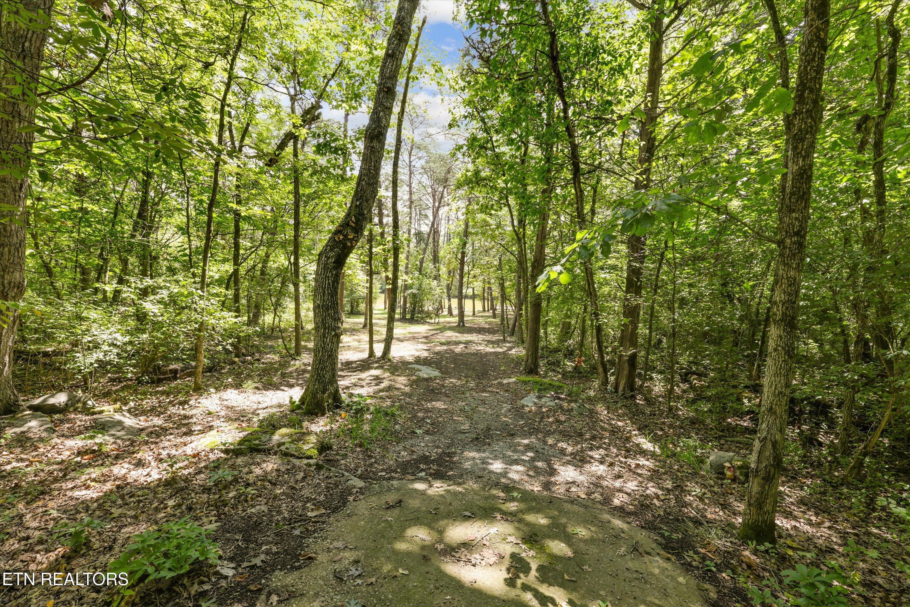 56-3217 Cove Ln 63 - 3217 Cove Lane, Louisville, TN 37777, Louisville