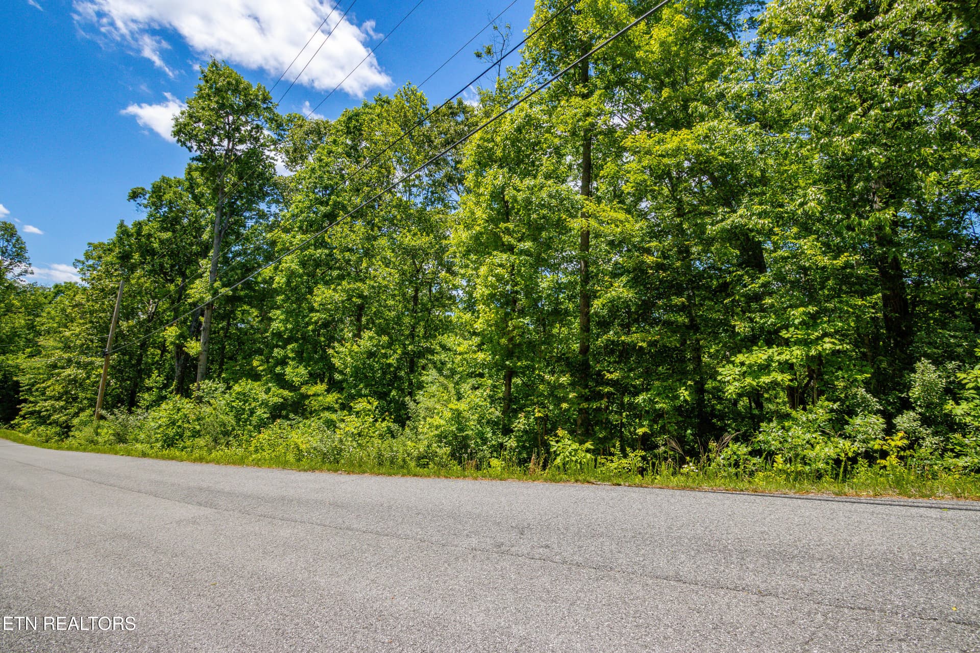 Street 11 - Lot 11 Saddleridge Drive, Speedwell, TN 37870