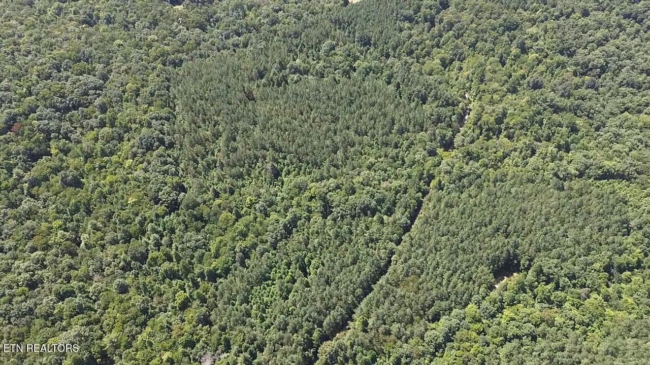 2026-08-25-12-23-31-748 - Hurricane Ridge Rd, Allardt, TN 38504