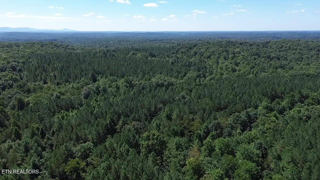 2026-08-25-12-25-05-880 - Hurricane Ridge Rd, Allardt, TN 38504