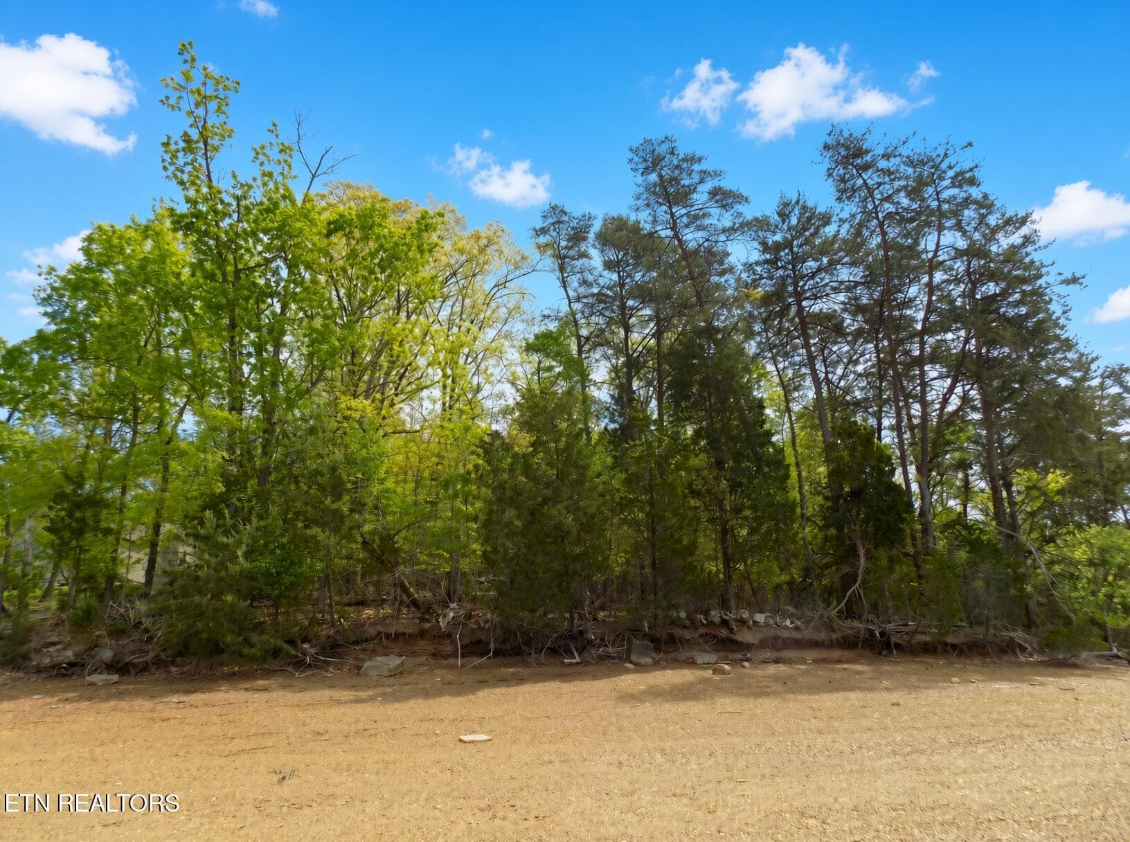 Gradual Slope at Water - 3753 Lake Point Drive, Morristown, TN 37814