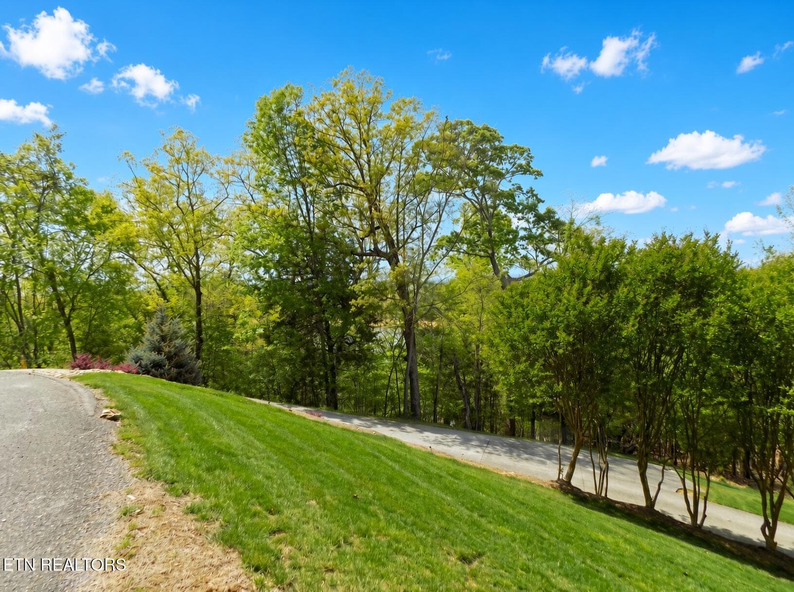Road Frontage - 3753 Lake Point Drive, Morristown, TN 37814