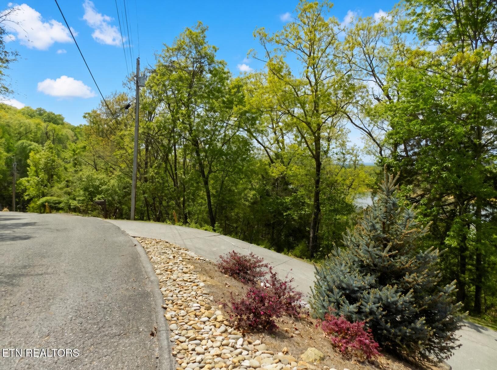 Road Frontage - 3753 Lake Point Drive, Morristown, TN 37814