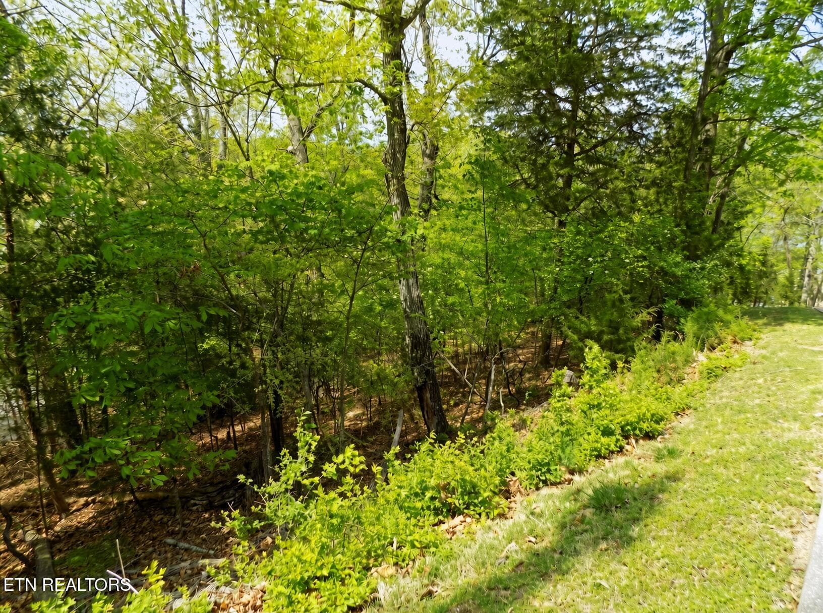 Road Frontage - 3753 Lake Point Drive, Morristown, TN 37814