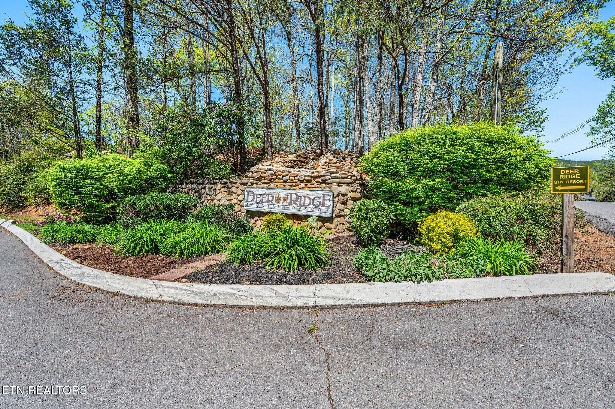 DSC_3695 - 3710 Weber Rd 101B, Gatlinburg, TN 37738, Gatlinburg