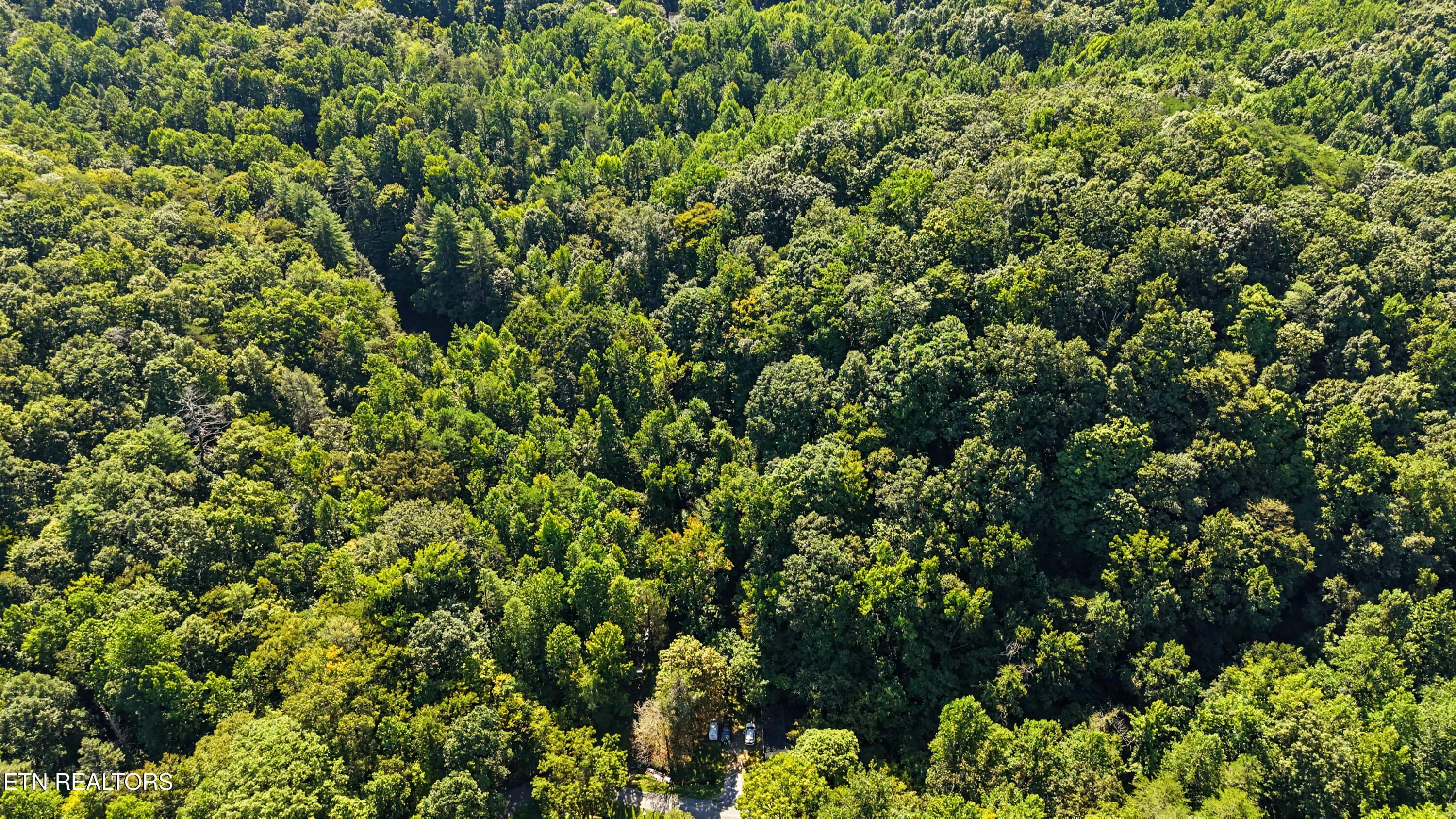 DJI_20260824112210_0144_D-2 - Tract 2R-3 Cold Springs Rd, Walland, TN 37886