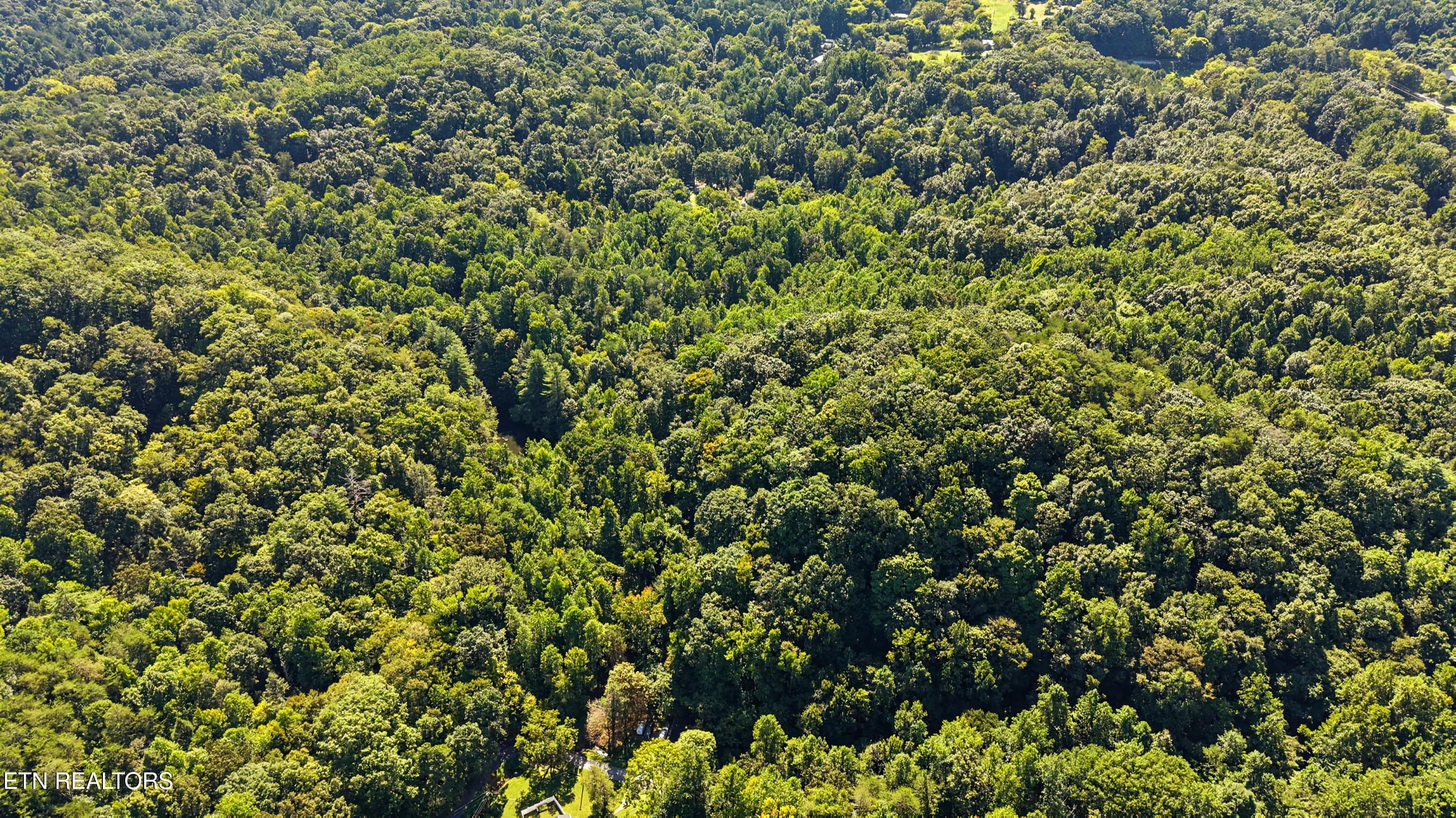 DJI_20260824112317_0146_D-2 - Tract 2R-3 Cold Springs Rd, Walland, TN 37886