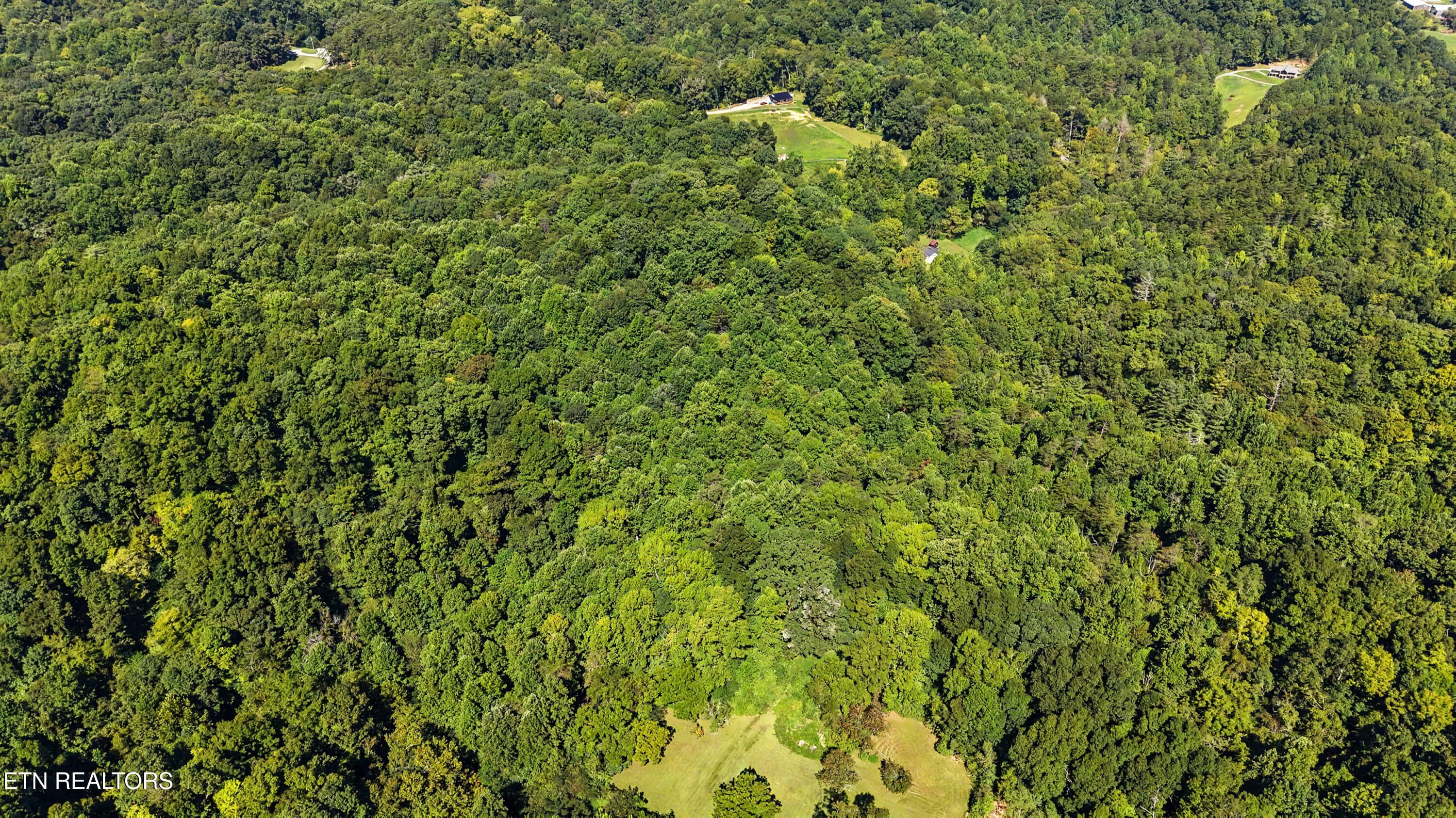 DJI_20260824112503_0156_D-2 - Tract 2R-3 Cold Springs Rd, Walland, TN 37886