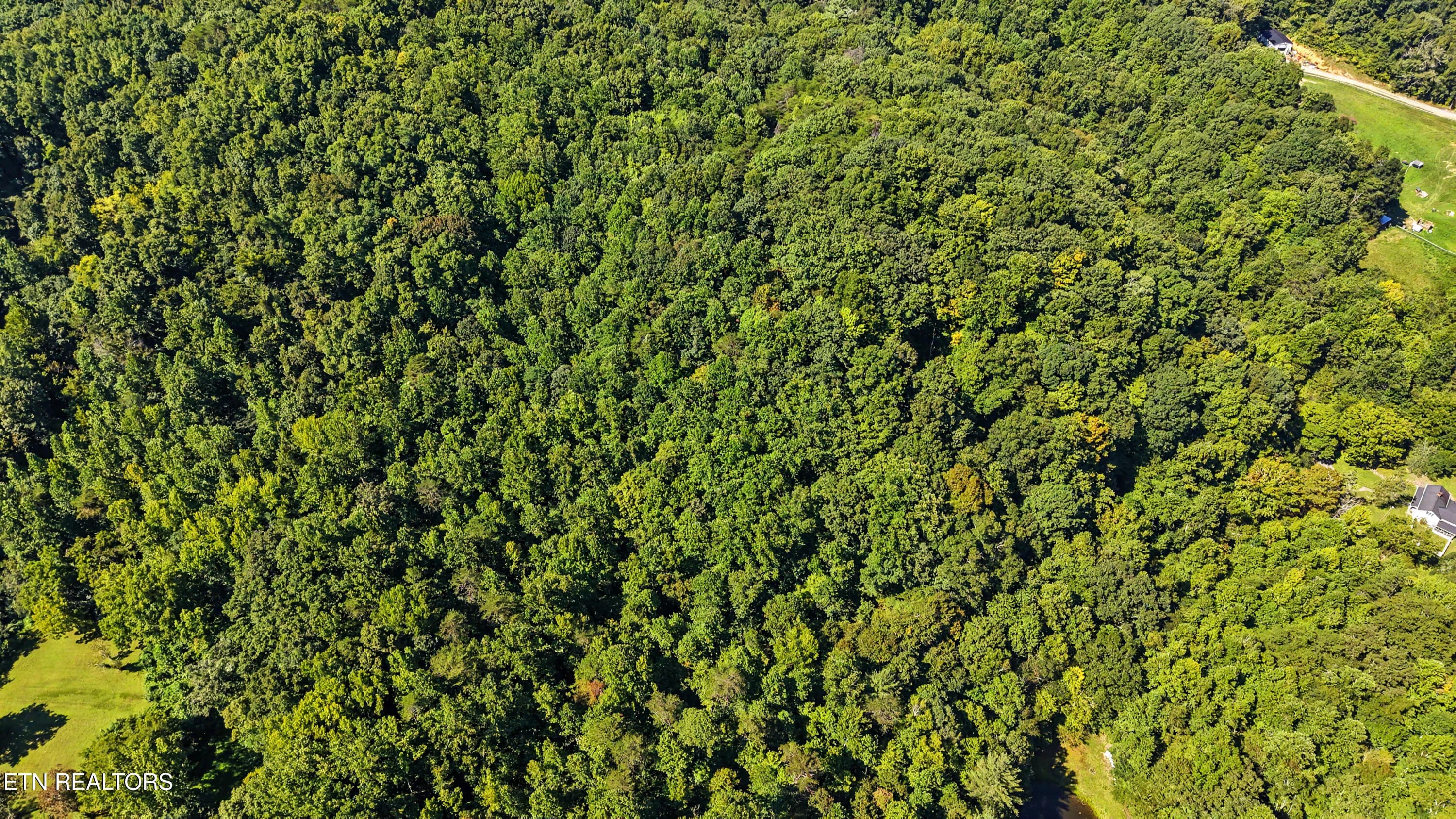 DJI_20260824112602_0162_D-2 - Tract 2R-3 Cold Springs Rd, Walland, TN 37886