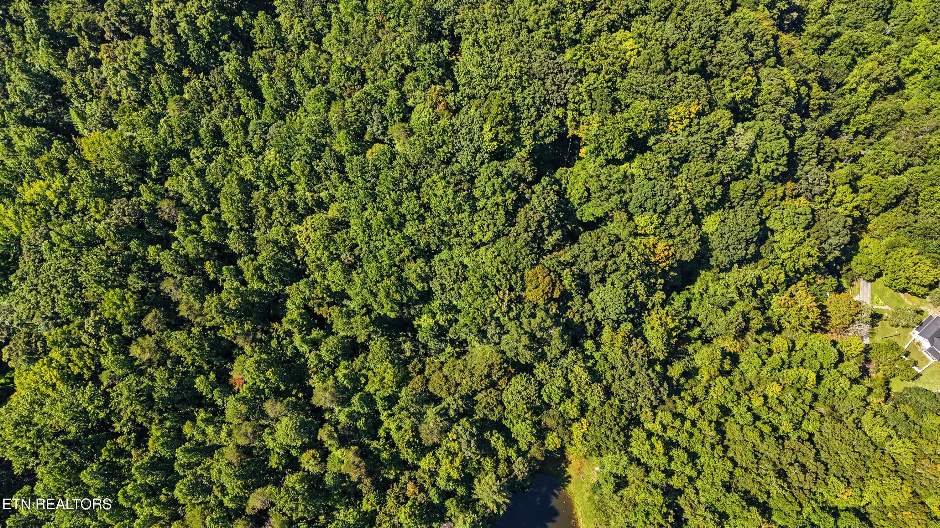 DJI_20260824112634_0164_D-2 - Tract 2R-3 Cold Springs Rd, Walland, TN 37886