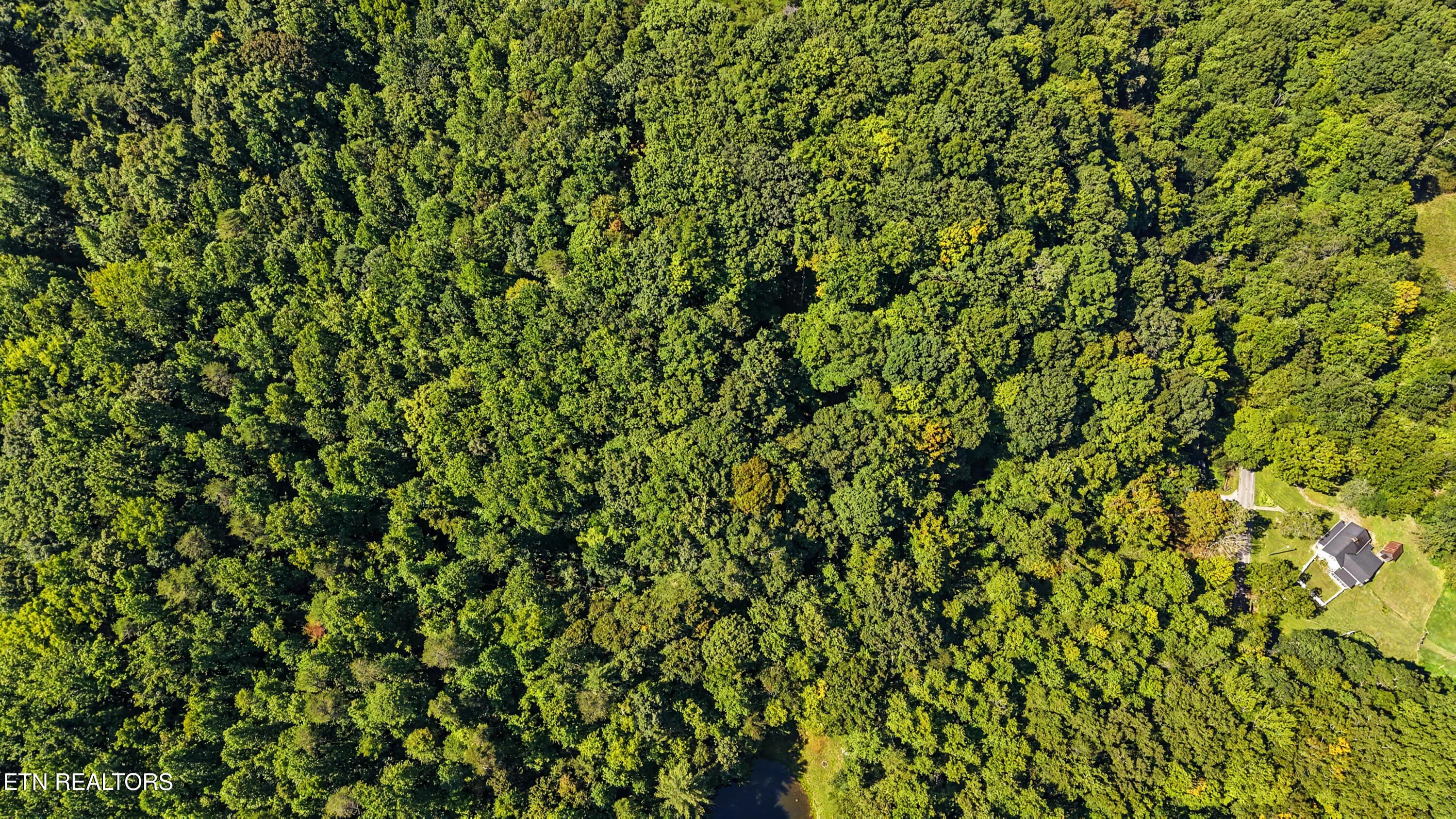 DJI_20260824112640_0167_D-2 - Tract 2R-3 Cold Springs Rd, Walland, TN 37886
