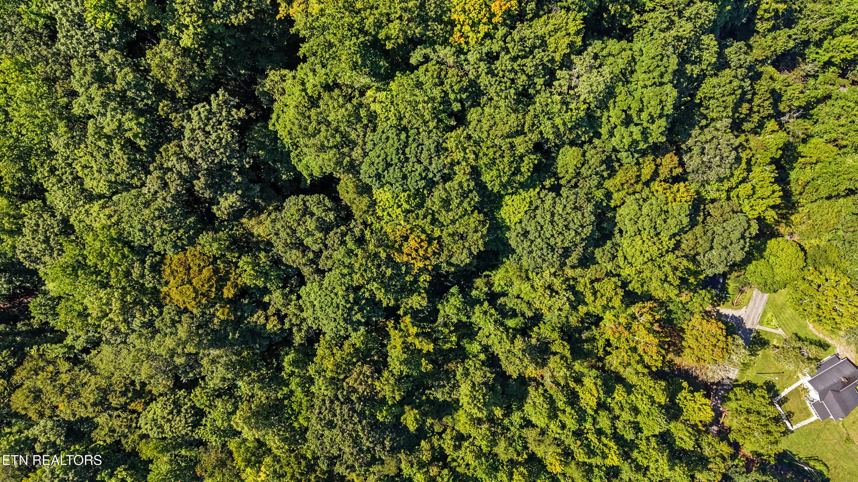 DJI_20260824112728_0171_D-2 - Tract 2R-3 Cold Springs Rd, Walland, TN 37886