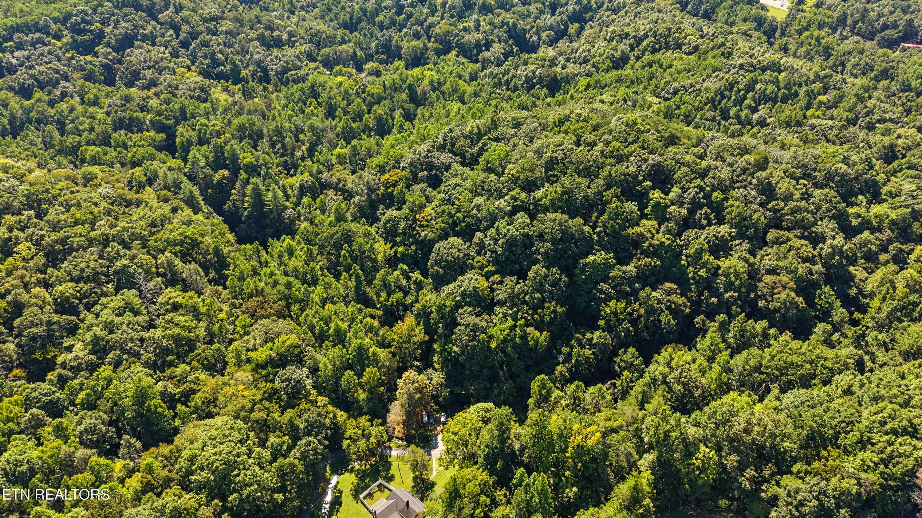 DJI_20260824112828_0172_D-2 - Tract 2R-3 Cold Springs Rd, Walland, TN 37886