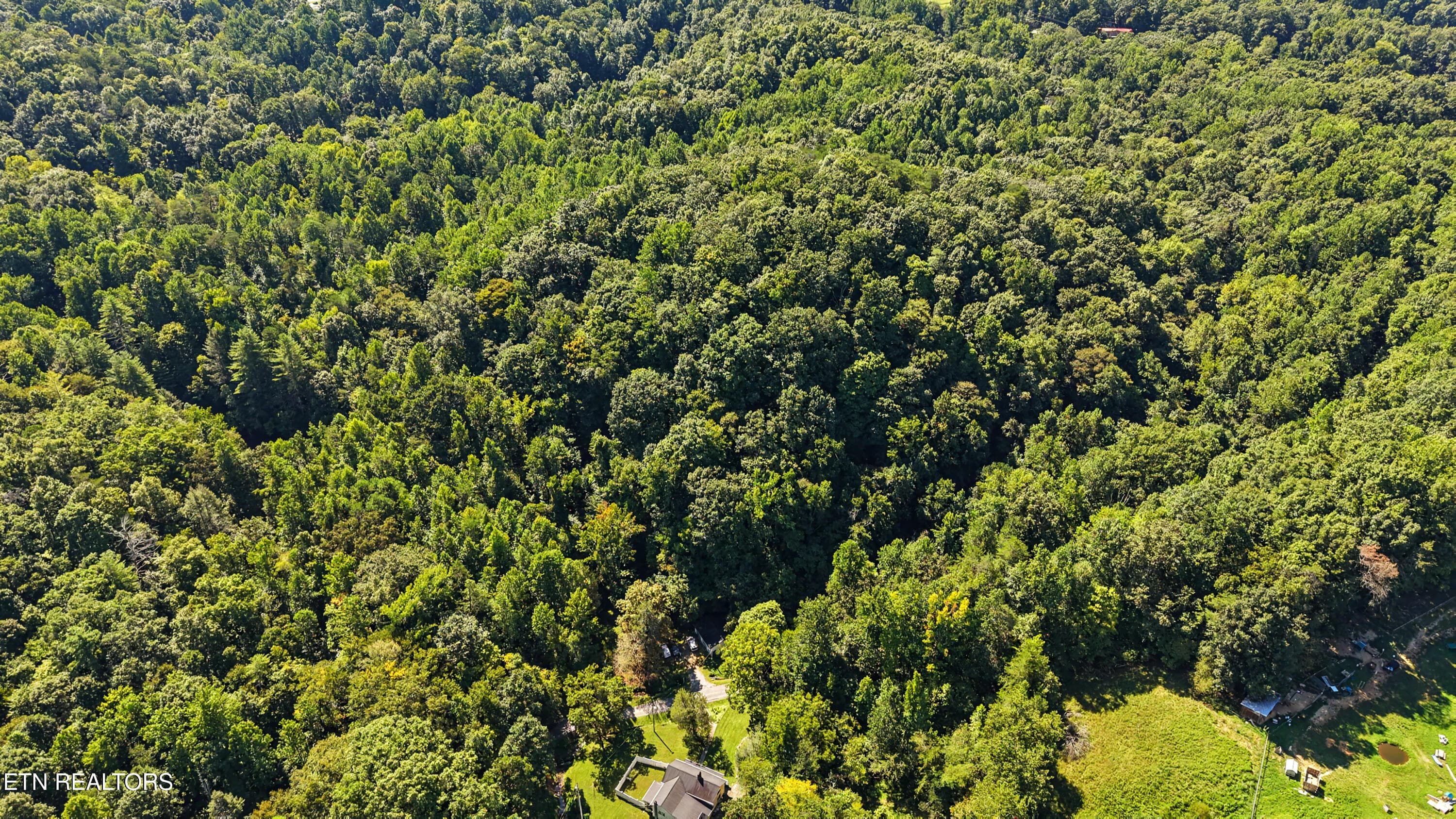 DJI_20260824112840_0177_D-2 - Tract 2R-3 Cold Springs Rd, Walland, TN 37886