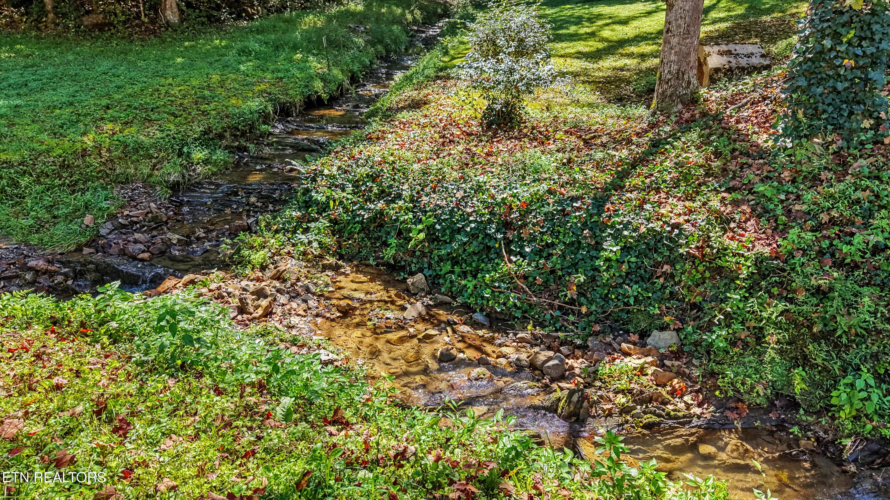DJI_20260824113008_0179_D-2 - Tract 2R-3 Cold Springs Rd, Walland, TN 37886