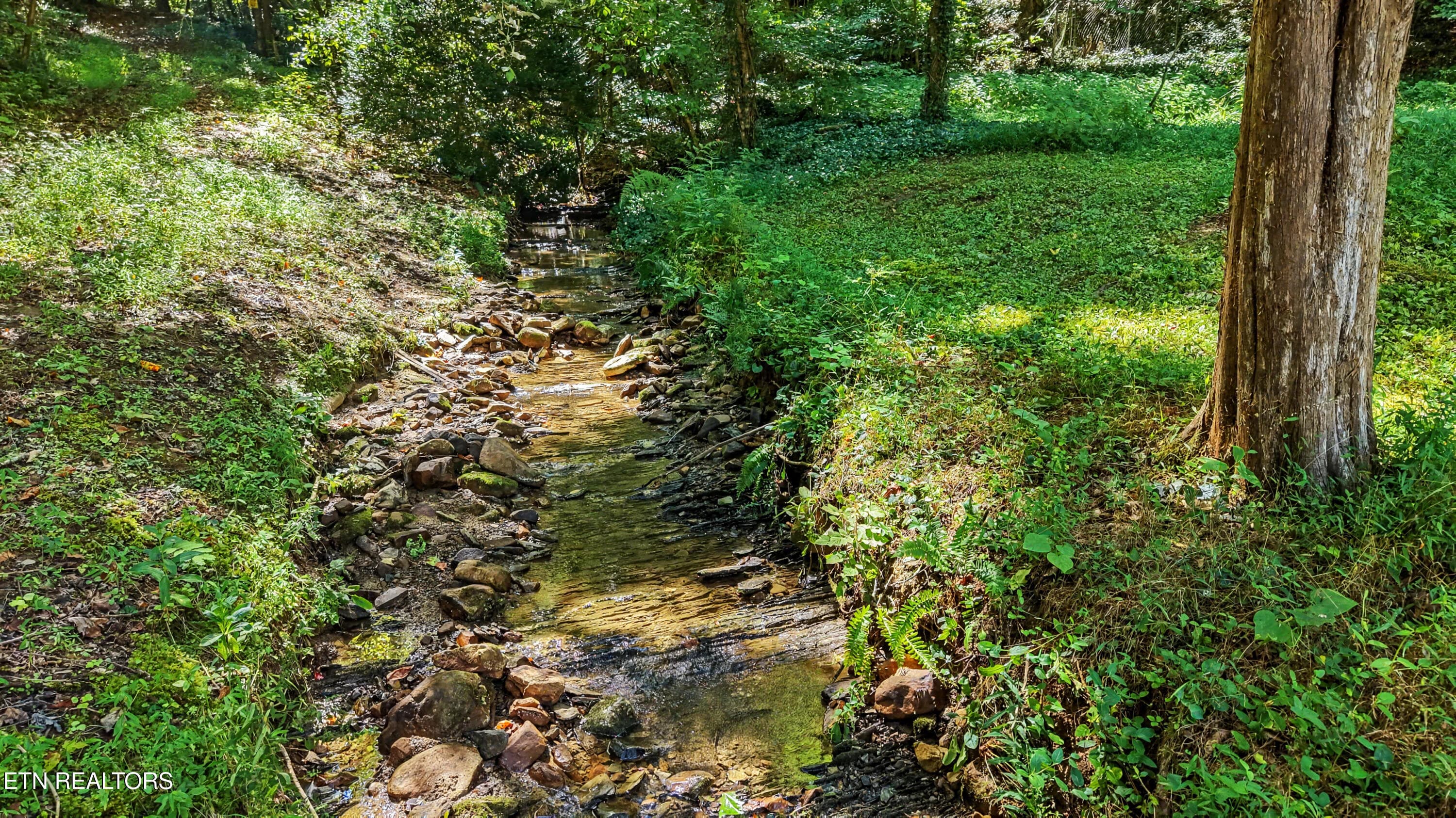 DJI_20260824113208_0189_D-2 - Tract 2R-3 Cold Springs Rd, Walland, TN 37886