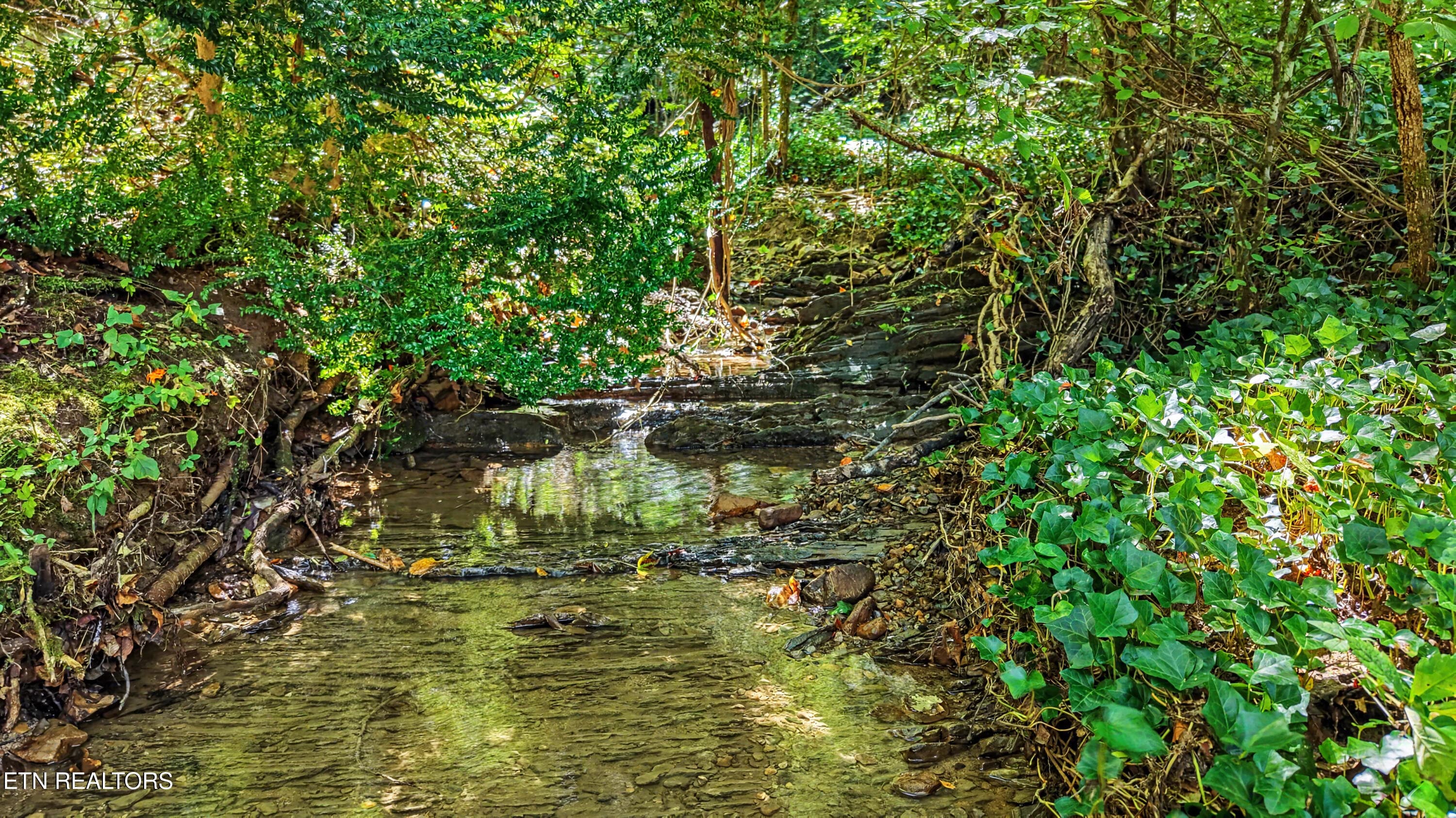 DJI_20260824113231_0191_D-2 - Tract 2R-3 Cold Springs Rd, Walland, TN 37886