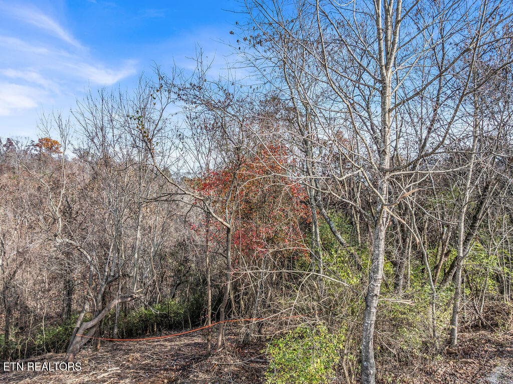 DJI_20251124103333_0024_D - 4125 Gravelly Hills Rd, Louisville, TN 37777, Louisville
