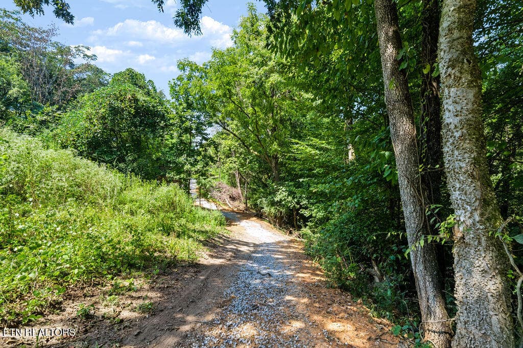 _DSC7542-HDR - 4125 Gravelly Hills Rd, Louisville, TN 37777, Louisville