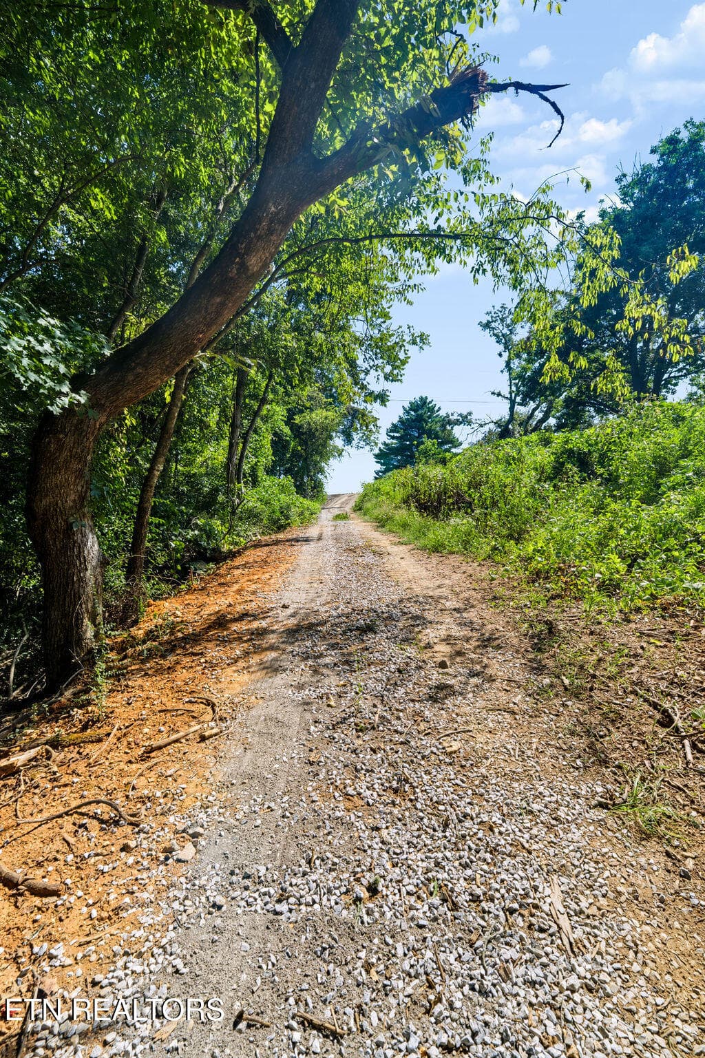 _DSC7545-HDR - 4125 Gravelly Hills Rd, Louisville, TN 37777, Louisville
