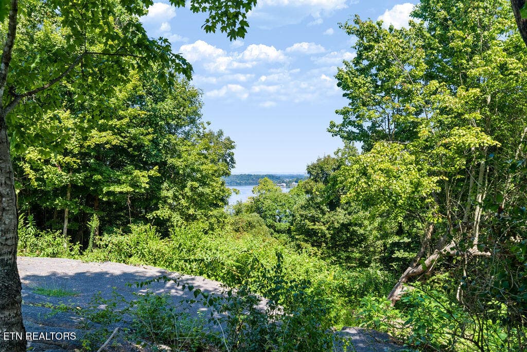_DSC7503-HDR - 4125 Gravelly Hills Rd, Louisville, TN 37777, Louisville
