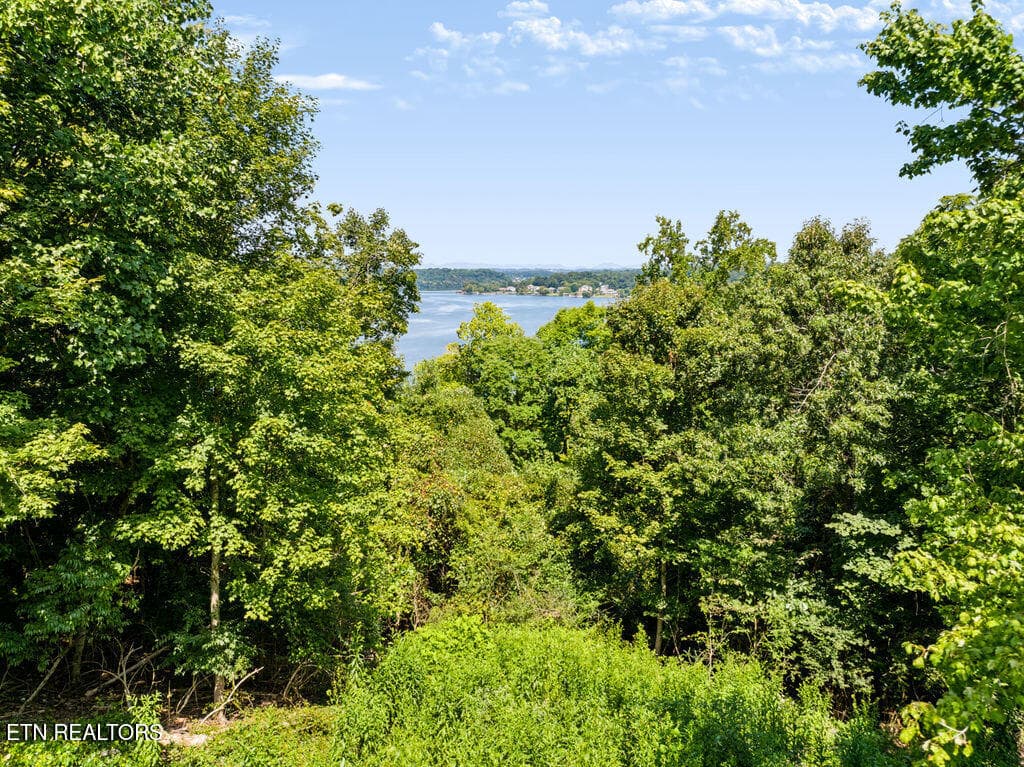 DJI_20260826111717_0085_D-HDR - 4125 Gravelly Hills Rd, Louisville, TN 37777, Louisville