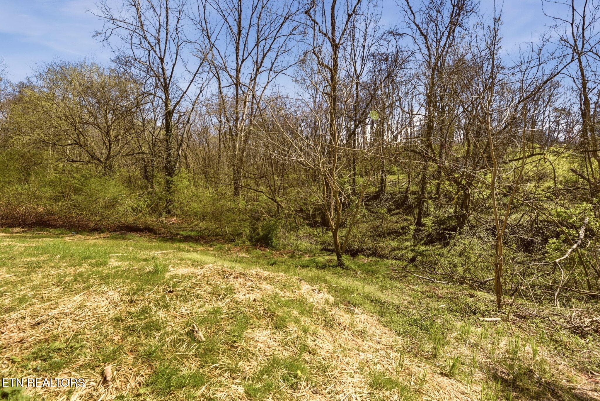 19_Backyard - 1516 Smallman Rd, Knoxville, TN 37920, Knoxville