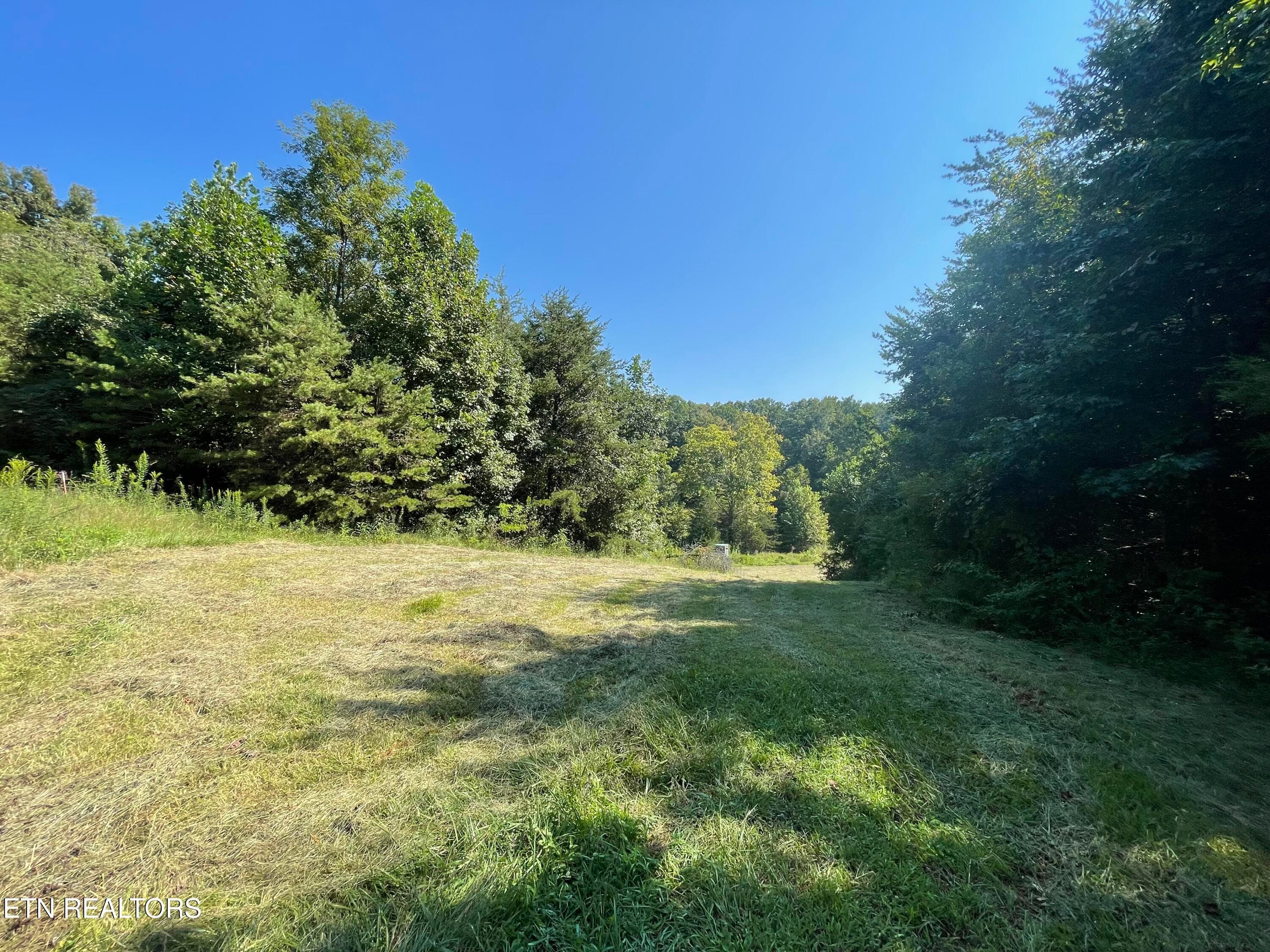 IMG_7072 - 217 Keystown Rd, Luttrell, TN 37779