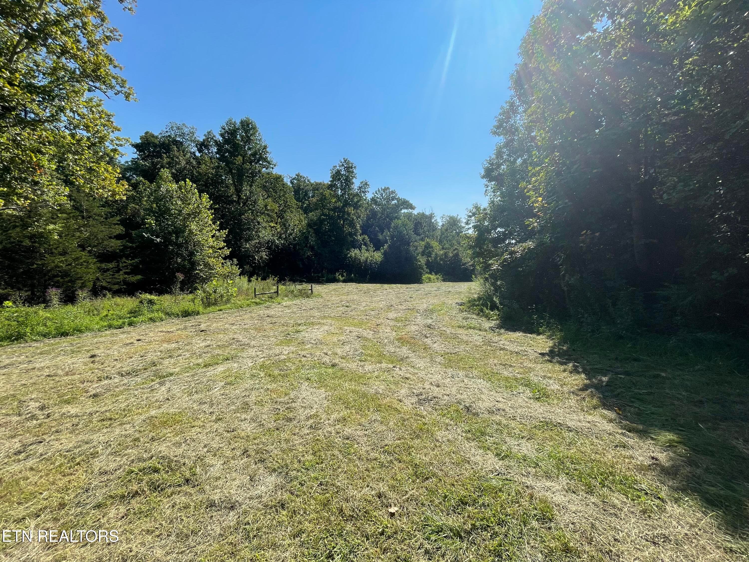 IMG_7074 - 217 Keystown Rd, Luttrell, TN 37779