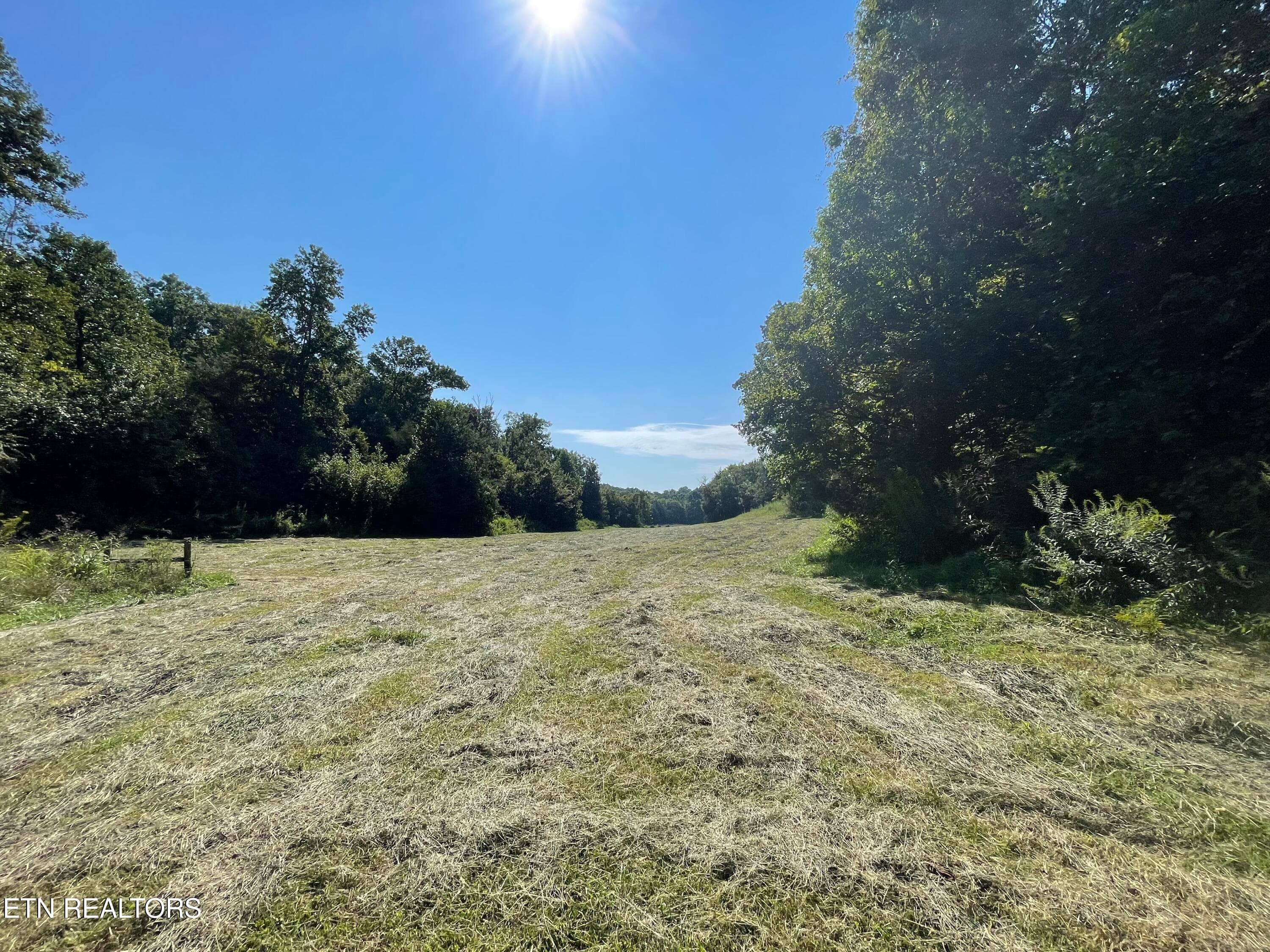 IMG_7075 - 217 Keystown Rd, Luttrell, TN 37779