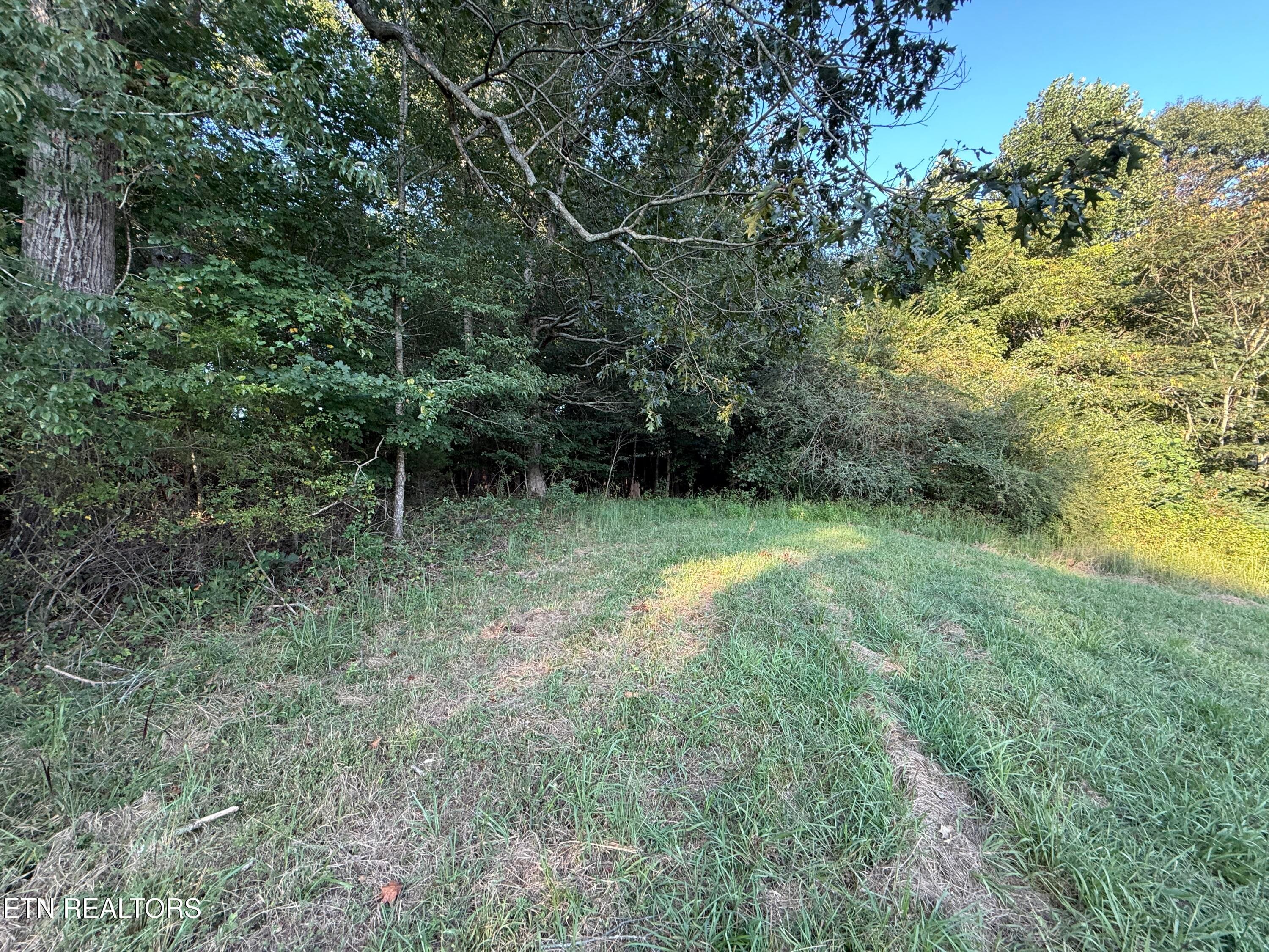 IMG_4527 - 1305 Sweetwater Rd, Philadelphia, TN 37846