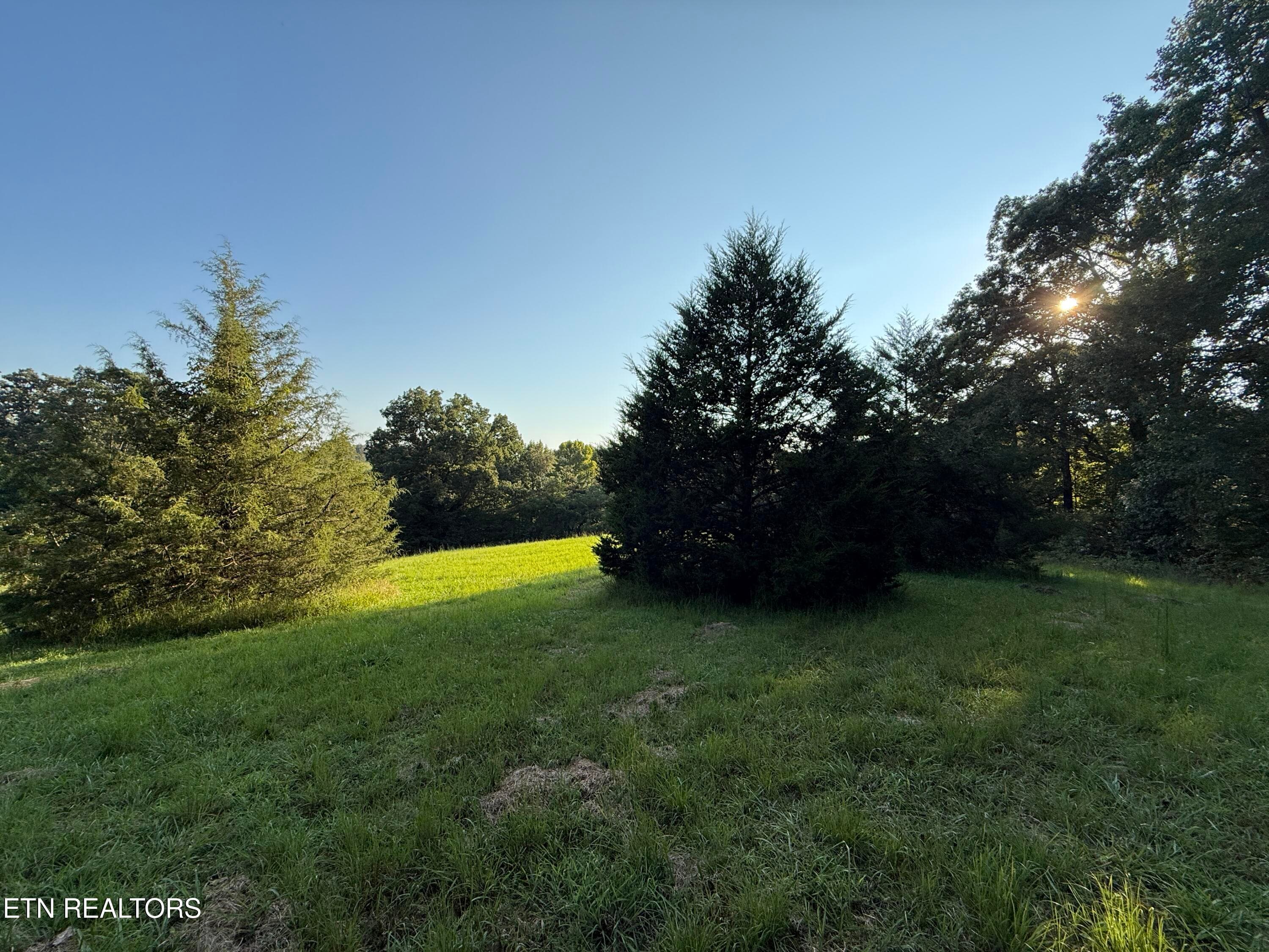 IMG_4525 - 1305 Sweetwater Rd, Philadelphia, TN 37846
