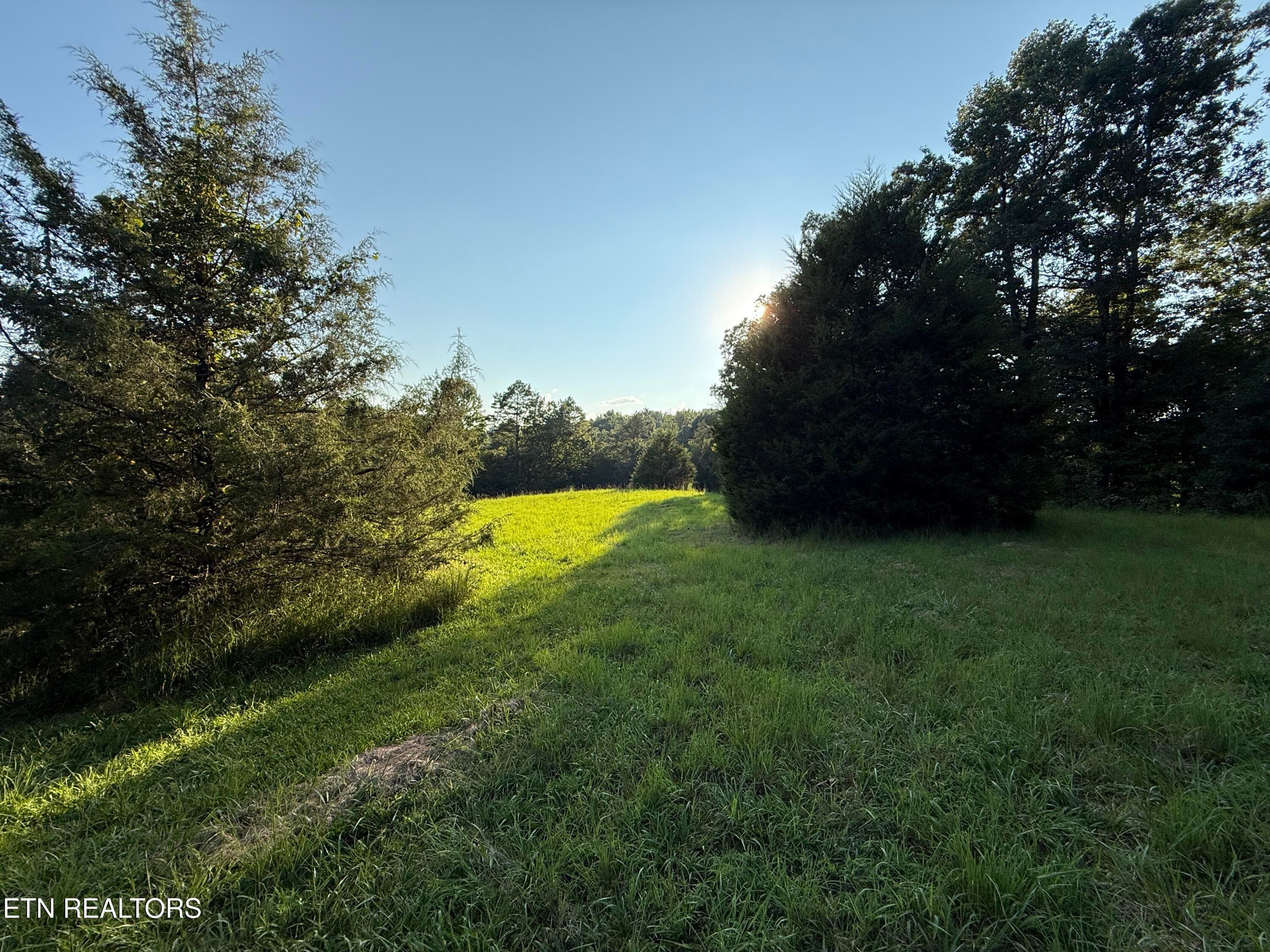 IMG_4523 - 1305 Sweetwater Rd, Philadelphia, TN 37846