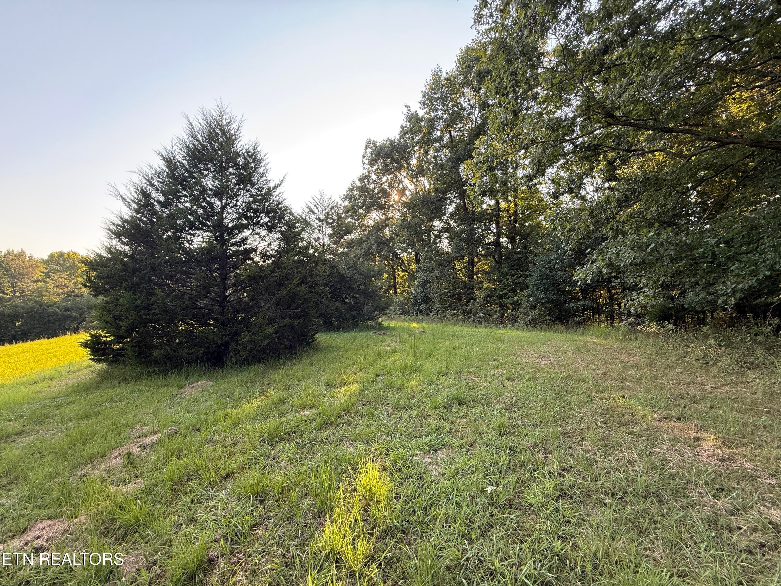 IMG_4524 - 1305 Sweetwater Rd, Philadelphia, TN 37846