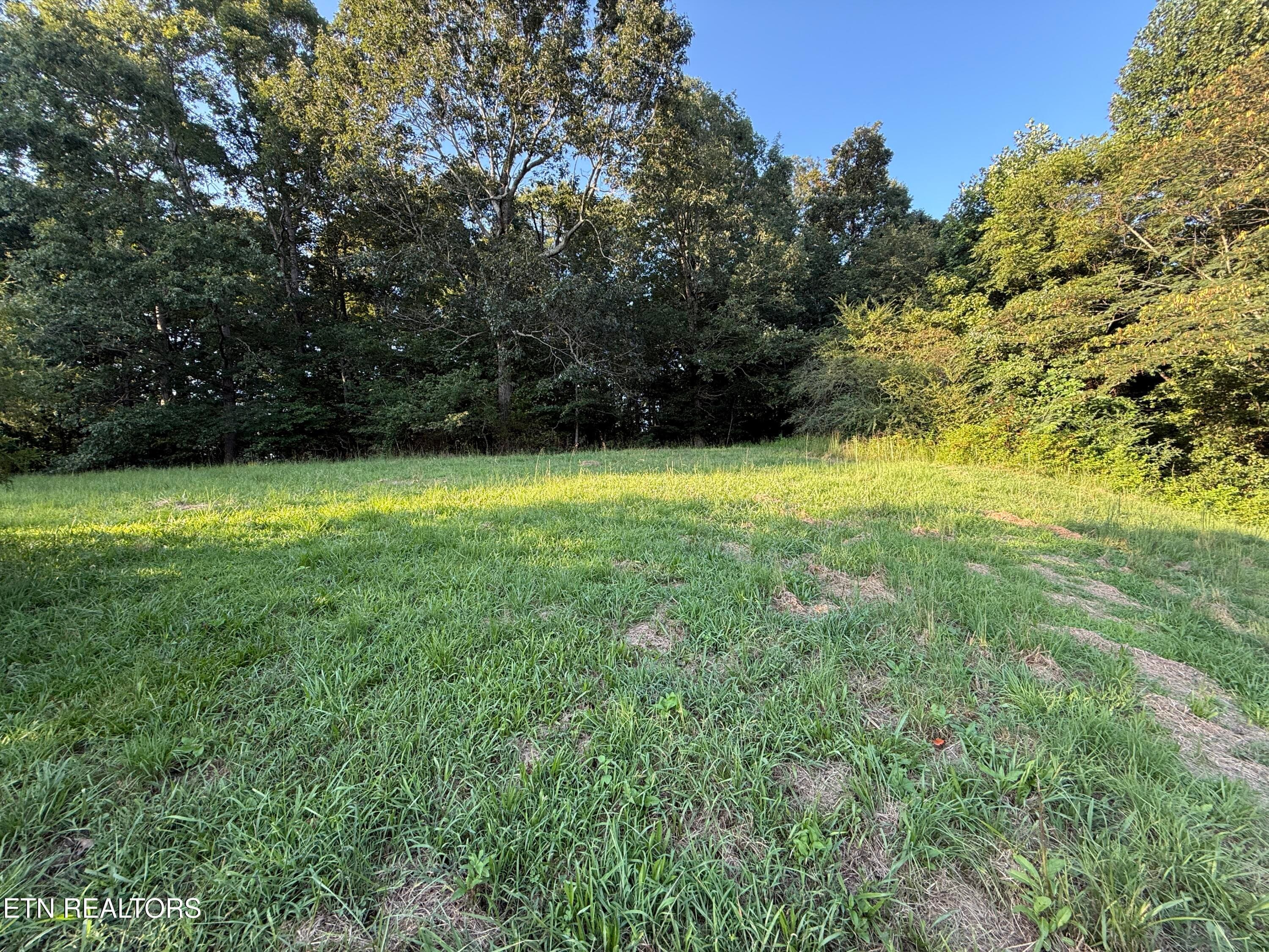 IMG_4521 - 1305 Sweetwater Rd, Philadelphia, TN 37846