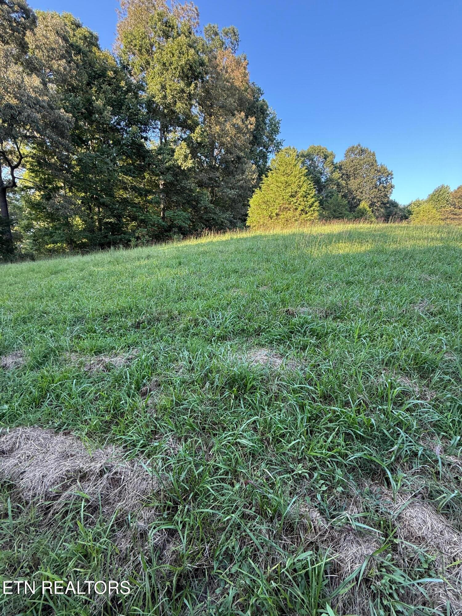 IMG_4519 - 1305 Sweetwater Rd, Philadelphia, TN 37846