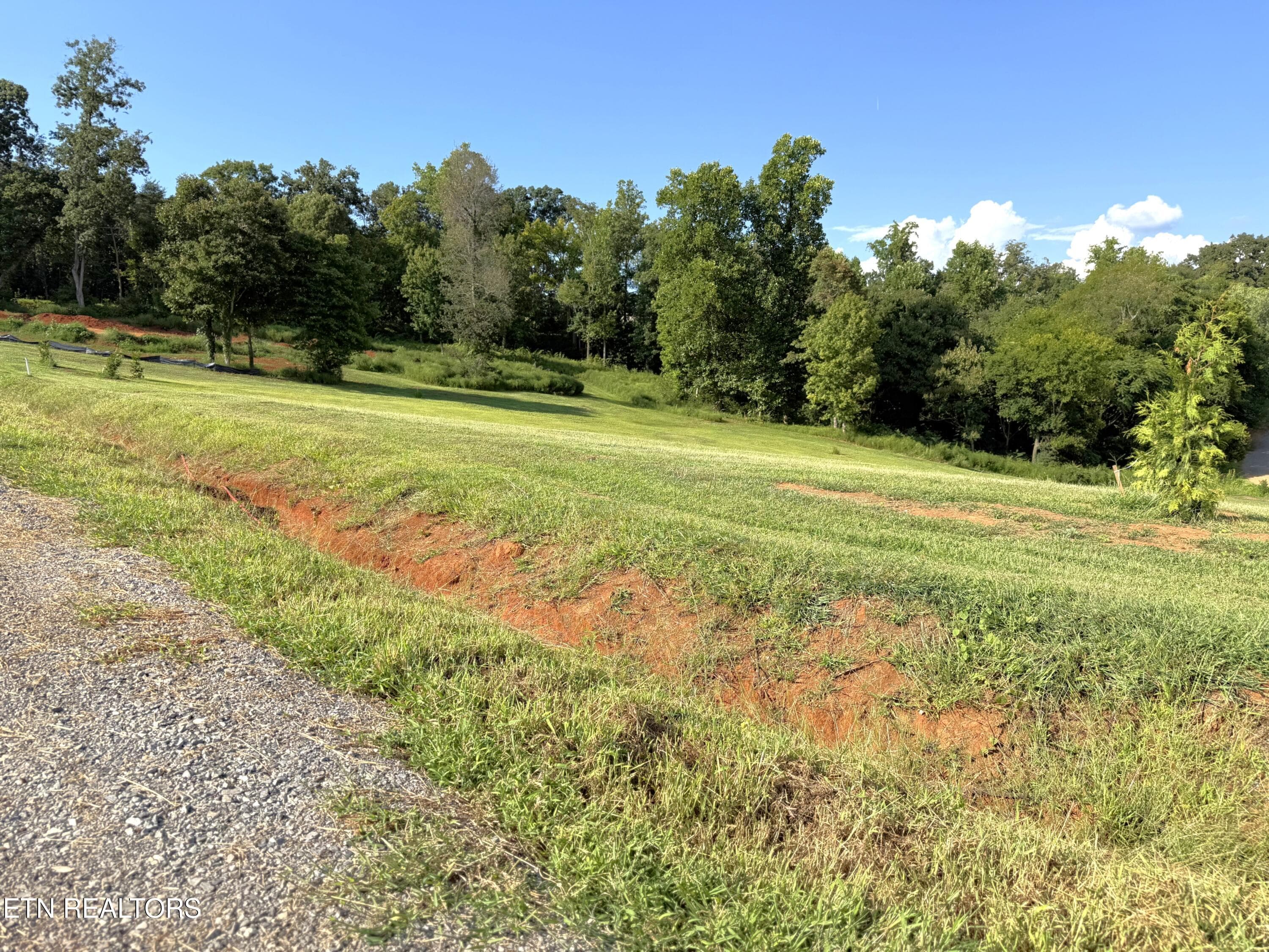 IMG_5009 - Lot 3 Hill Valley Rd, Friendsville, TN 37737