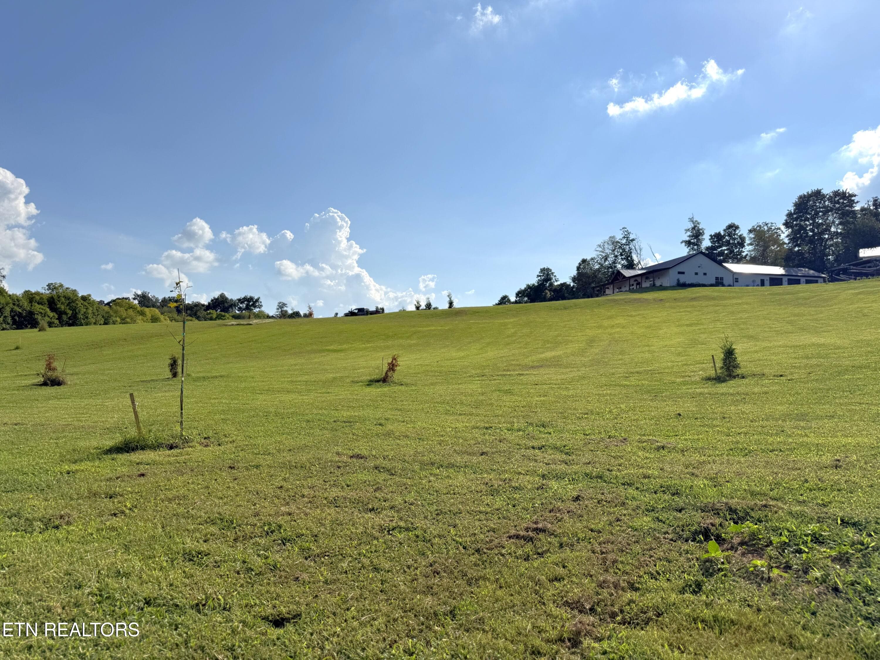 IMG_5011 - Lot 3 Hill Valley Rd, Friendsville, TN 37737