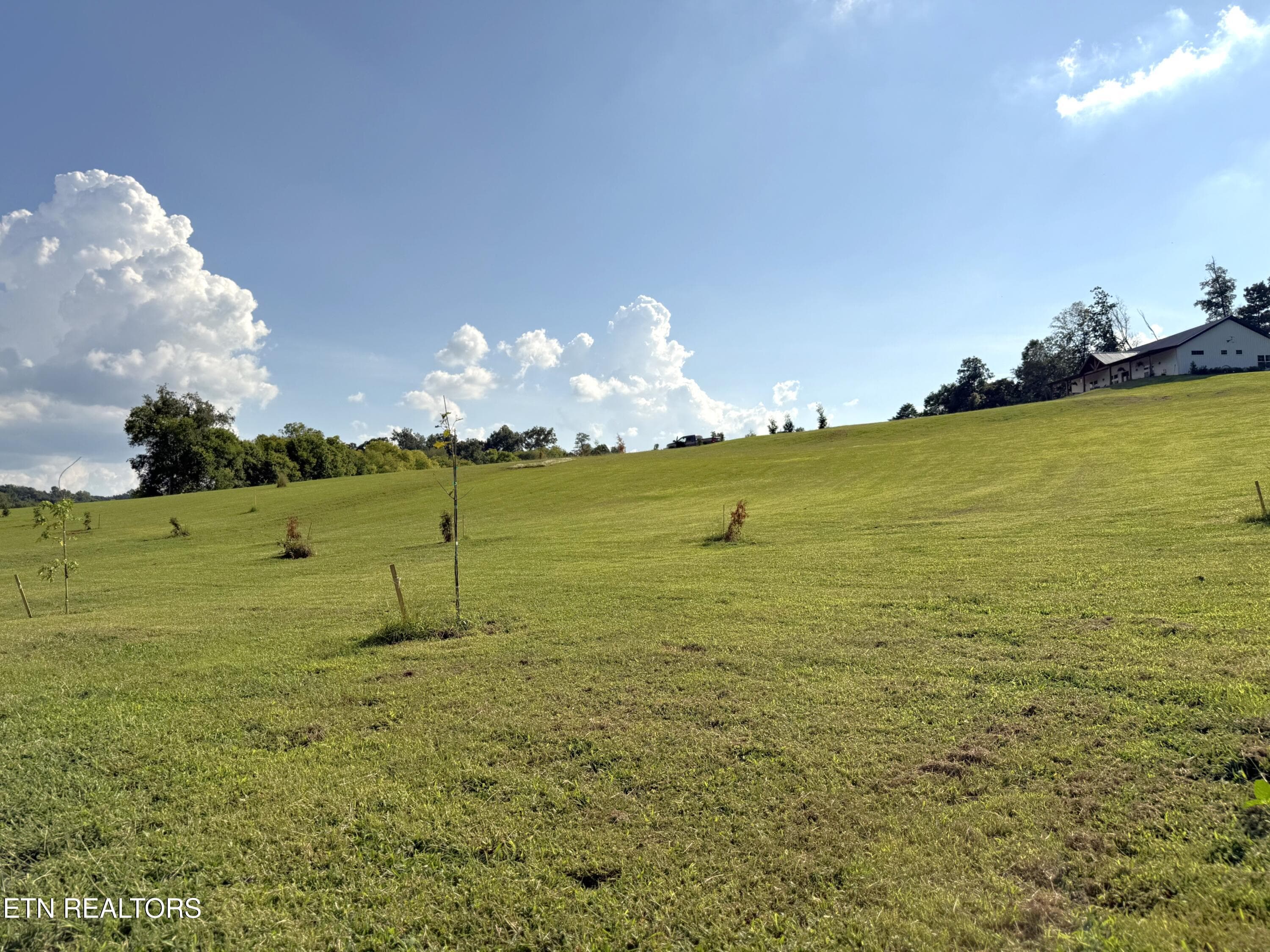 IMG_5012 - Lot 3 Hill Valley Rd, Friendsville, TN 37737