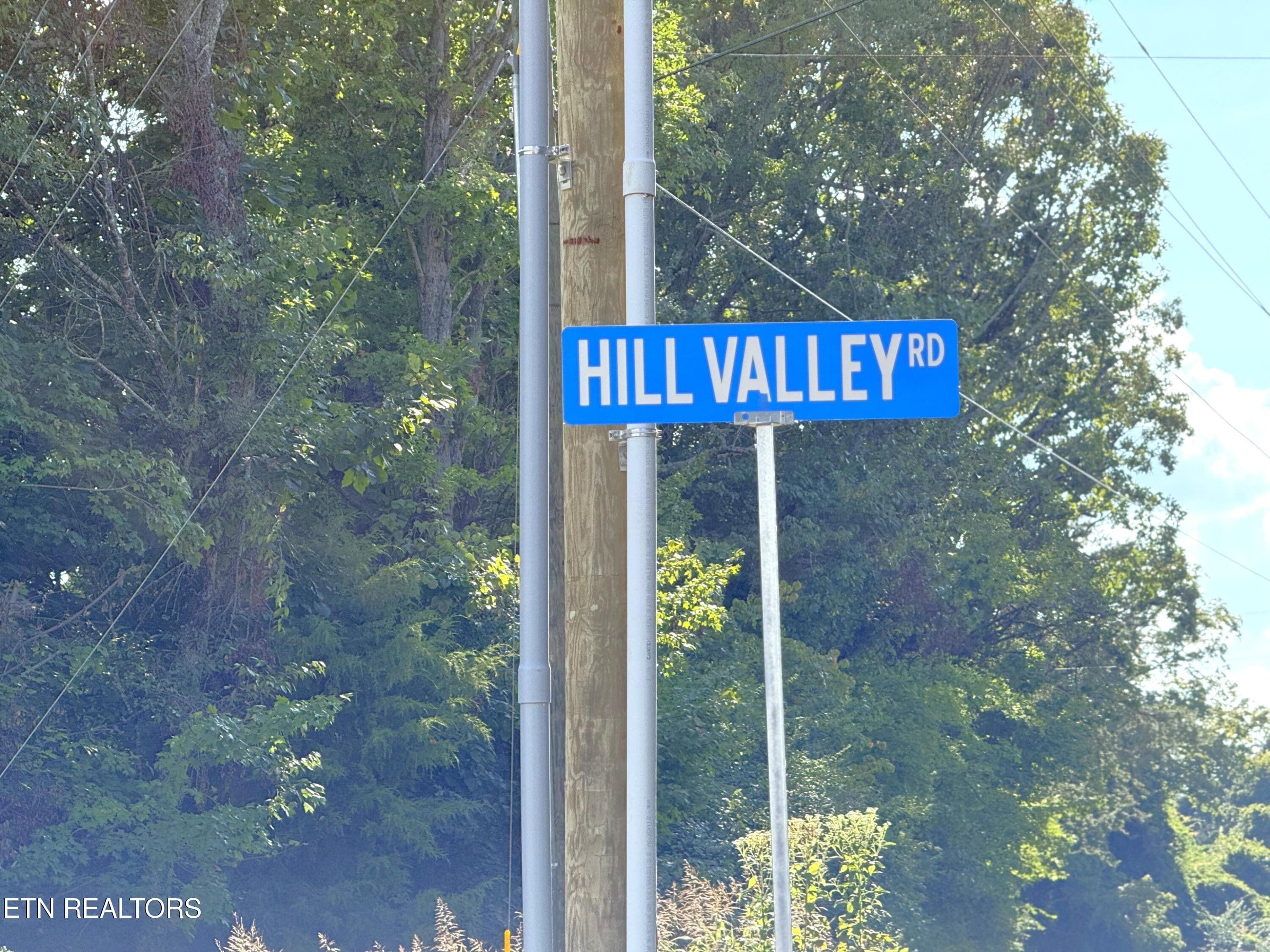IMG_5020 - Lot 3 Hill Valley Rd, Friendsville, TN 37737