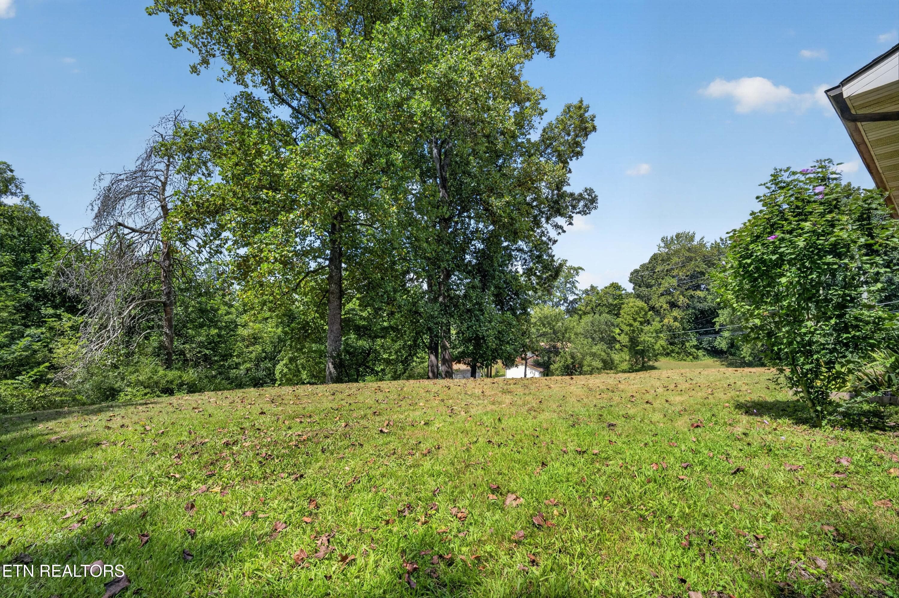 6010-cline-rd-42 - 6010 Cline Rd, Knoxville, TN 37938