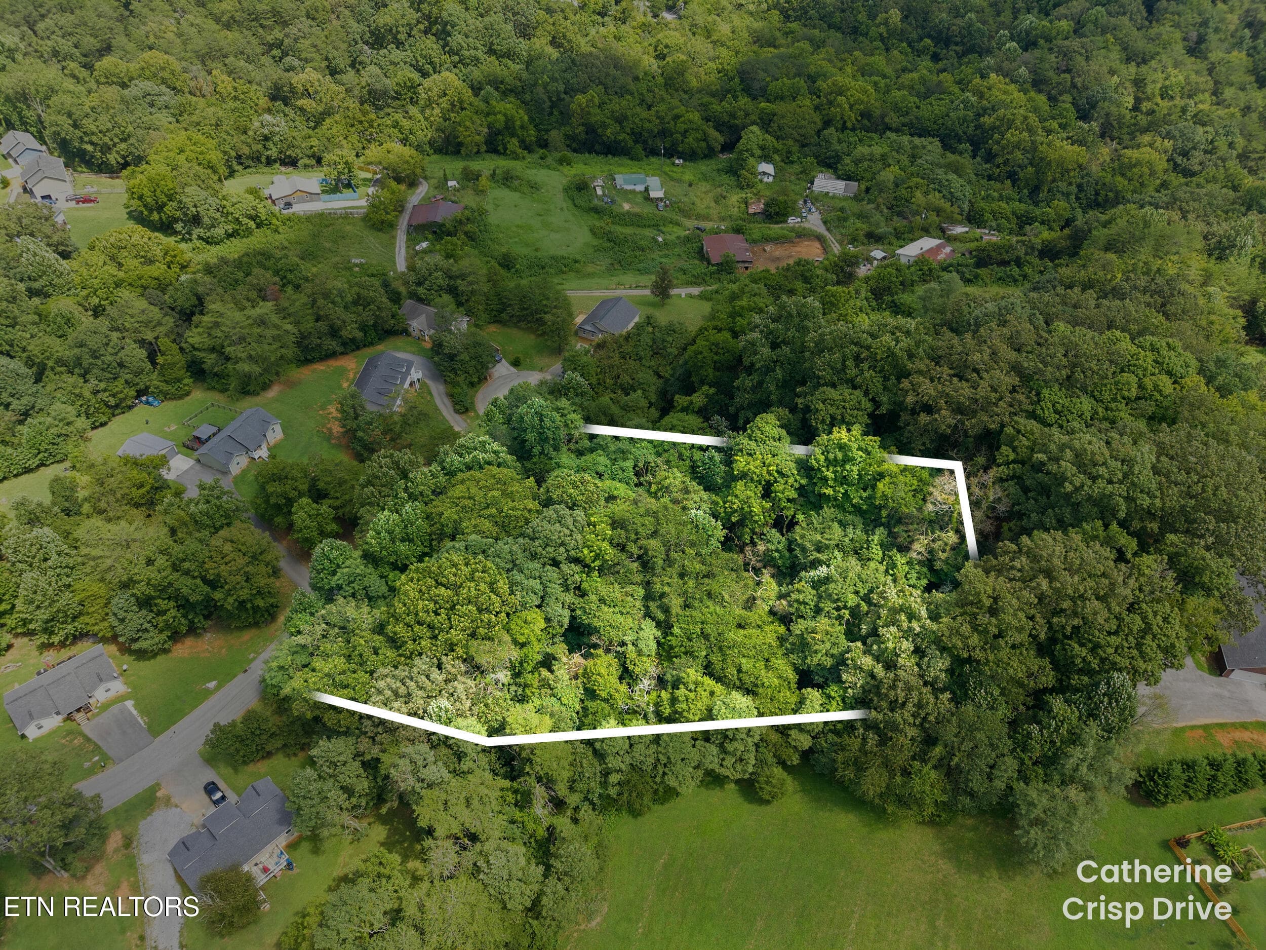 004_property line - Catherine Crisp Drive, Kodak, TN 37764