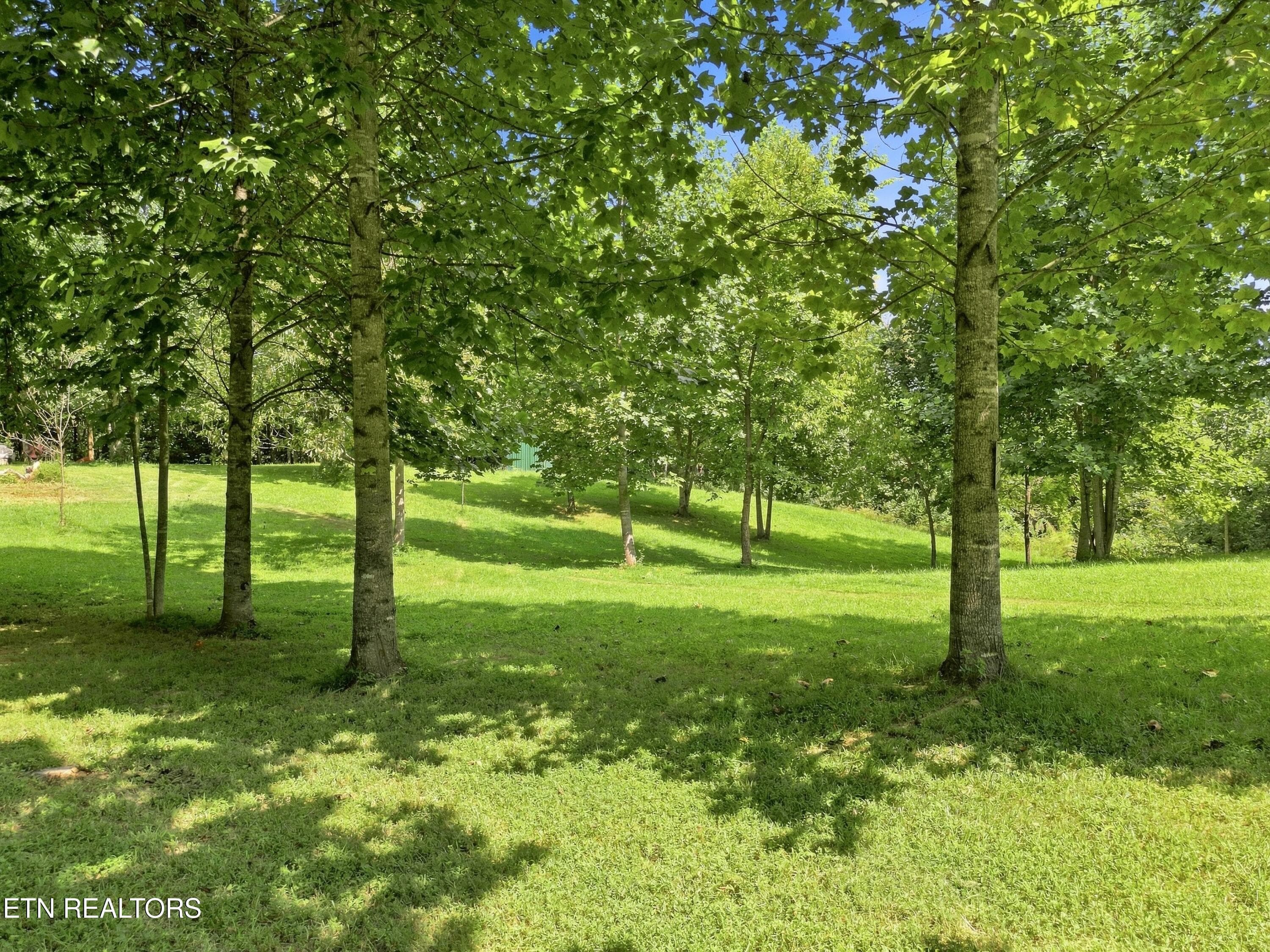 1133 Wheeler Rd, Harrogate, TN 37752