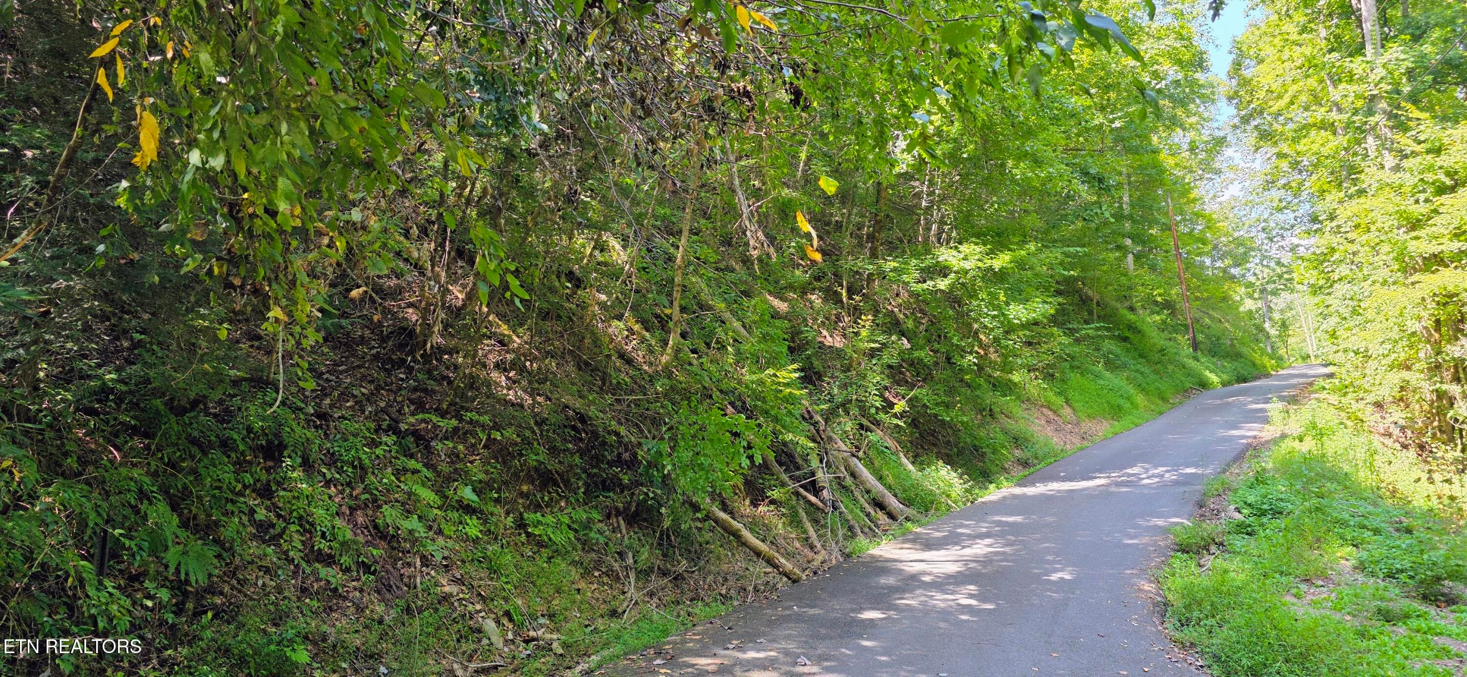 Lot 0005 Sugar Maple Loop Rd, Sevierville, TN 37862