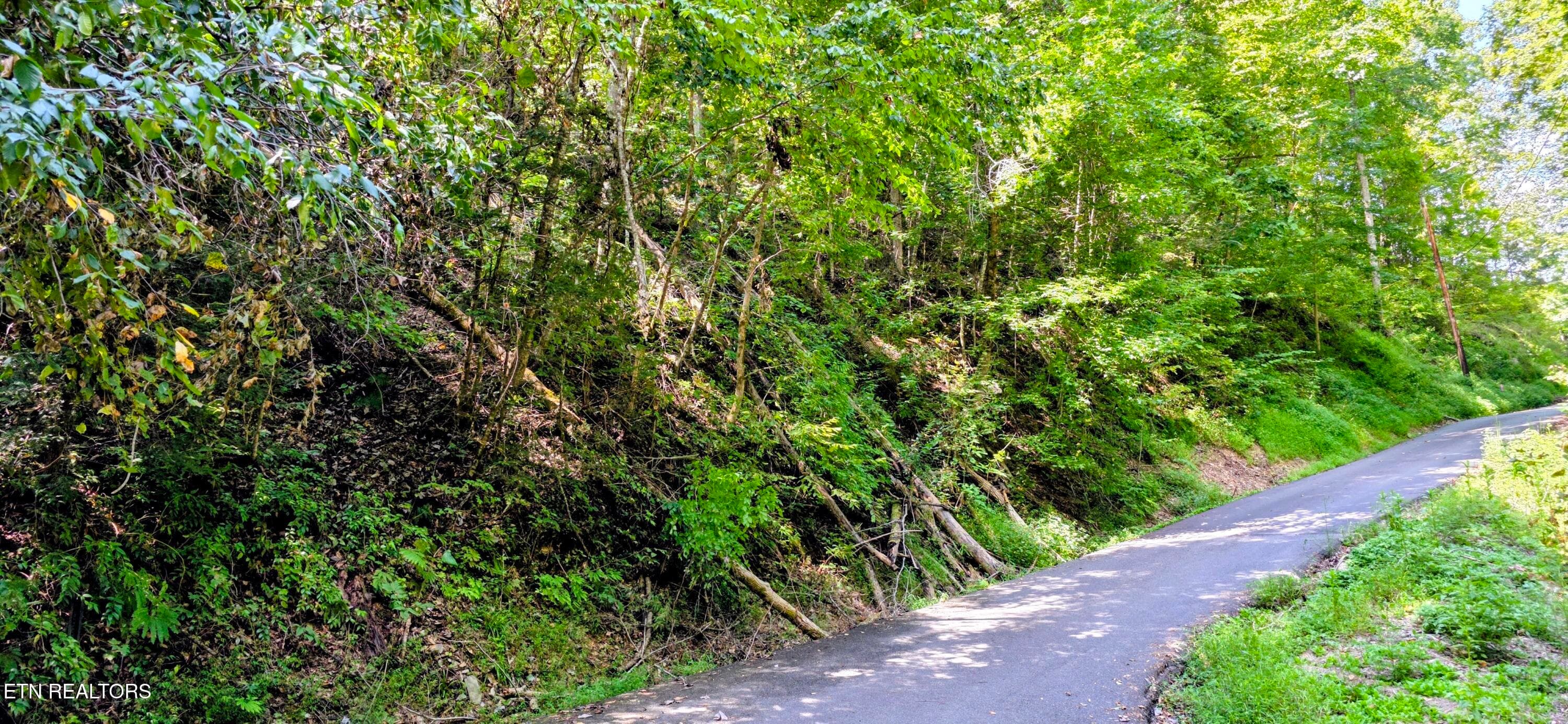 20260831_134227~2 - Lot 0005 Sugar Maple Loop Rd, Sevierville, TN 37862