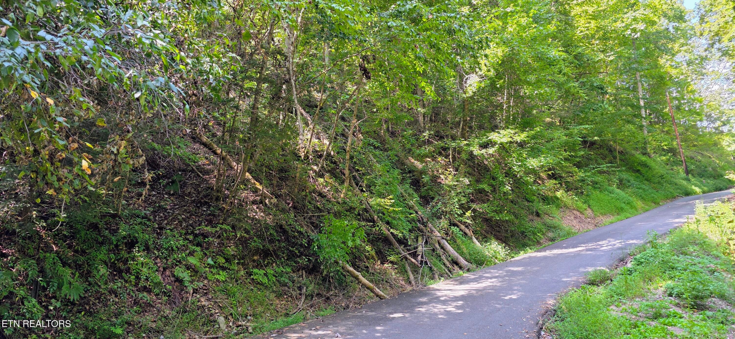 20260831_134227~3 - Lot 0005 Sugar Maple Loop Rd, Sevierville, TN 37862
